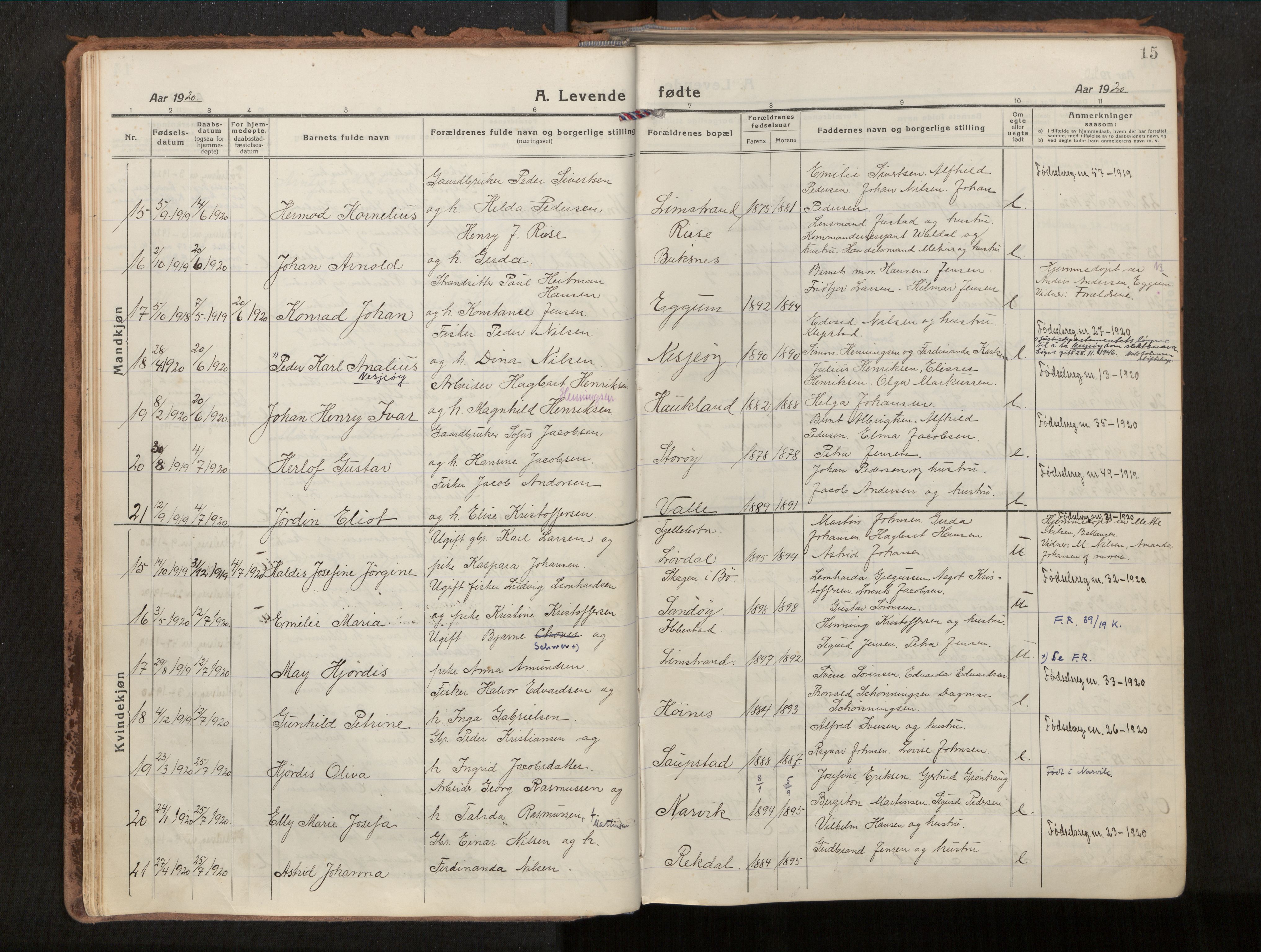 Ministerialprotokoller, klokkerbøker og fødselsregistre - Nordland, AV/SAT-A-1459/880/L1136: Ministerialbok nr. 880A10, 1919-1927, s. 15