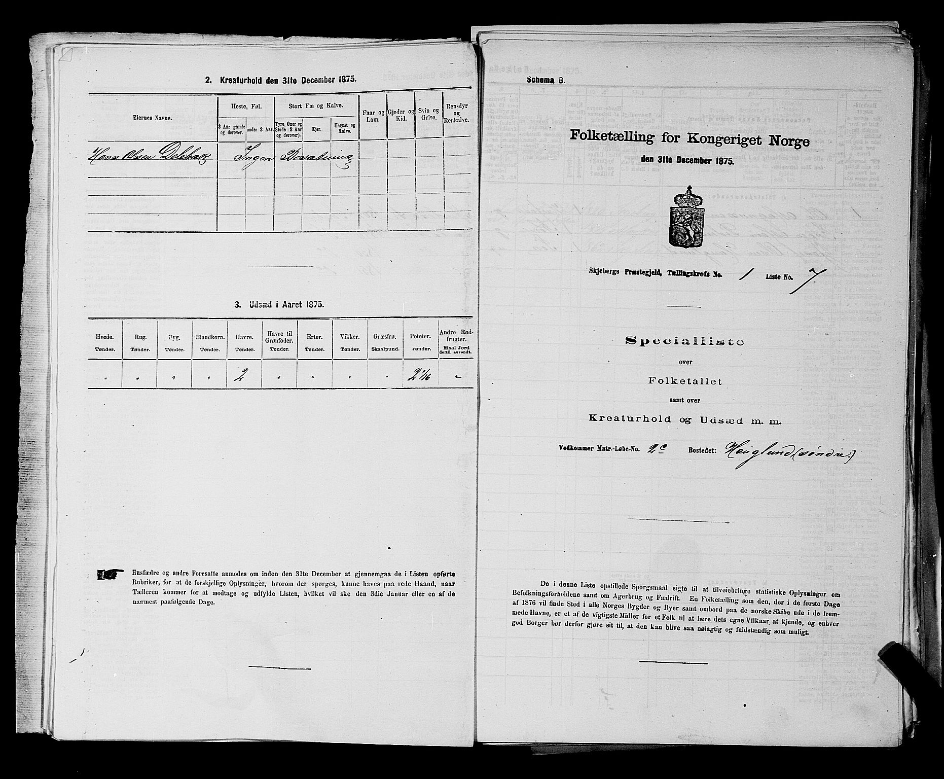 RA, Folketelling 1875 for 0115P Skjeberg prestegjeld, 1875, s. 41