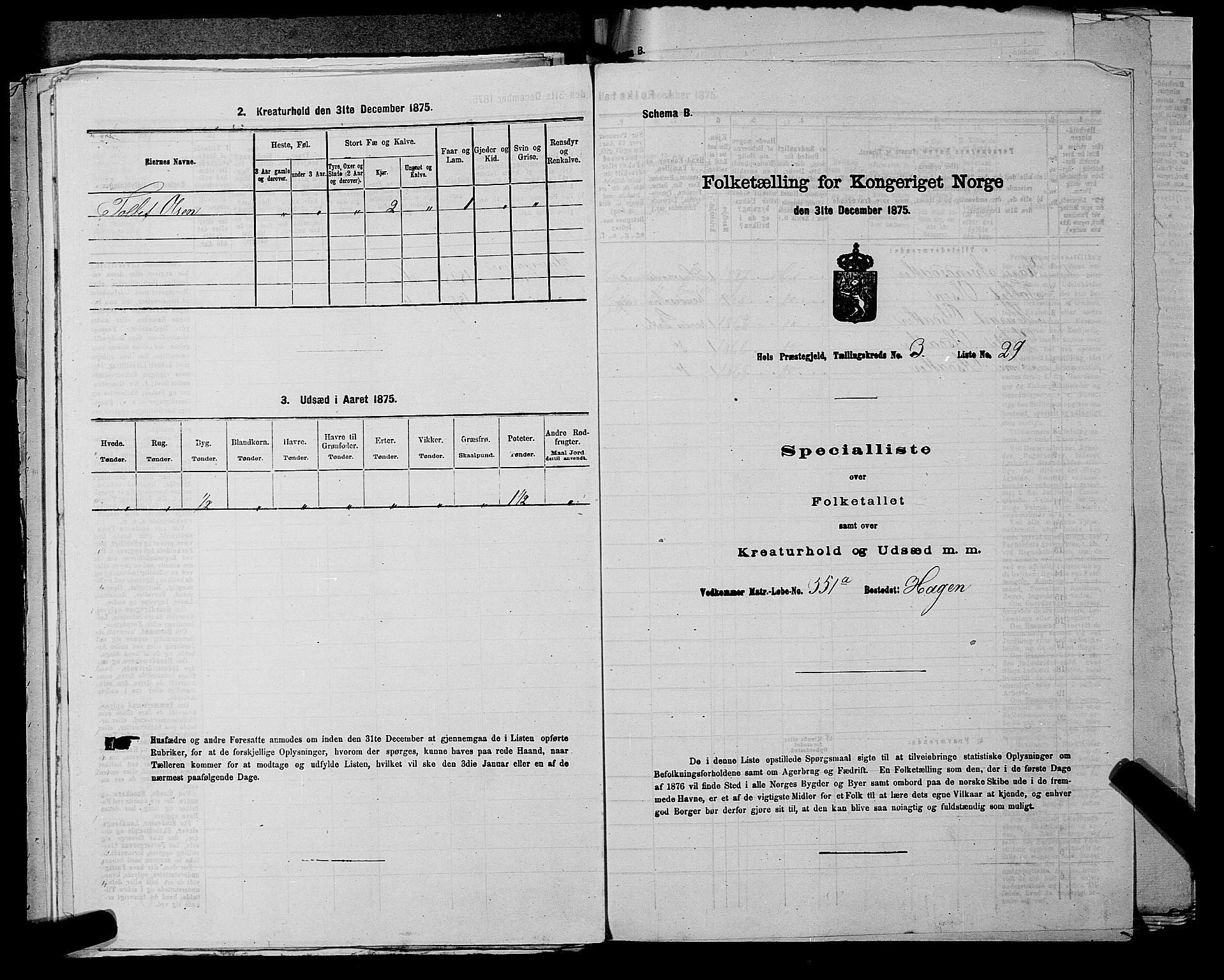 SAKO, Folketelling 1875 for 0620P Hol prestegjeld, 1875, s. 426