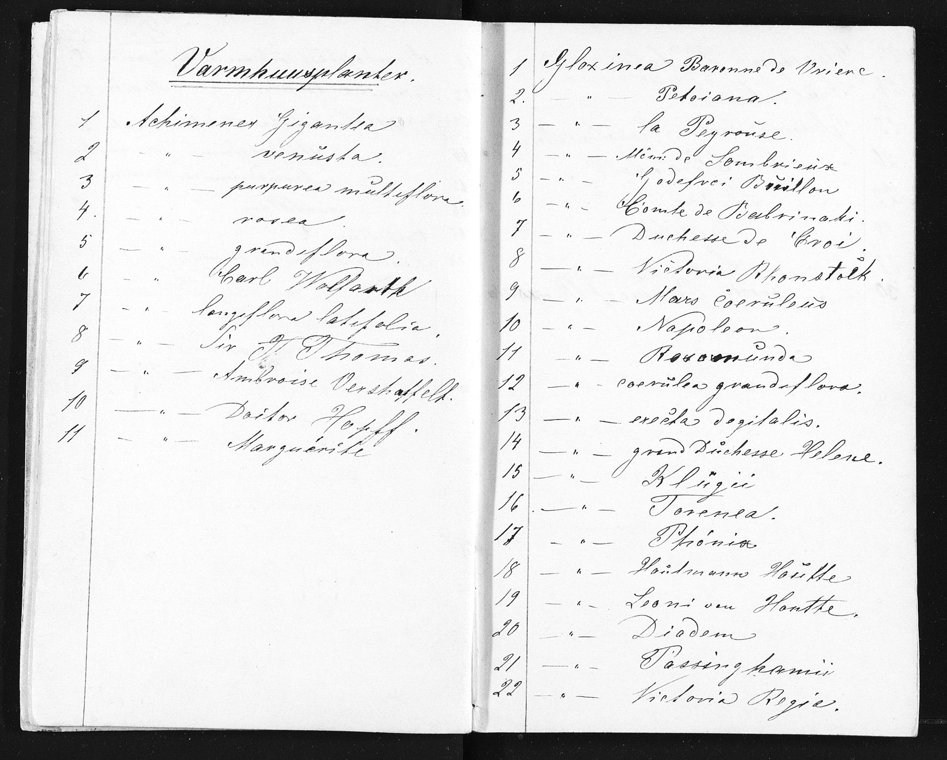 Familien Aalls privatarkiv , NESJ/NJM-005/E-00003/L0001/0002/0009: Dag- og notatbøker / Dølner dagbok-bokpakke 002, 1856