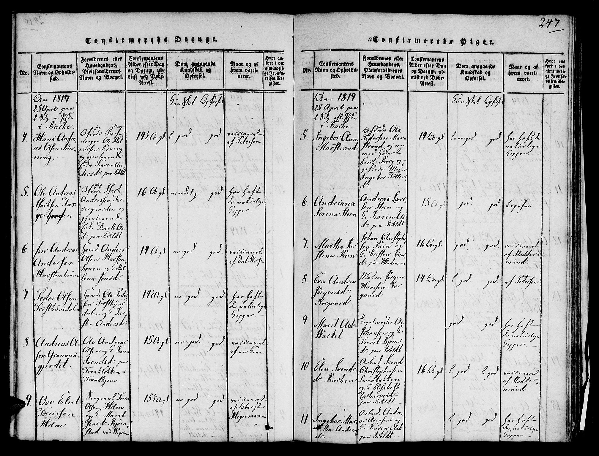 Ministerialprotokoller, klokkerbøker og fødselsregistre - Sør-Trøndelag, SAT/A-1456/606/L0283: Ministerialbok nr. 606A03 /1, 1818-1823, s. 247