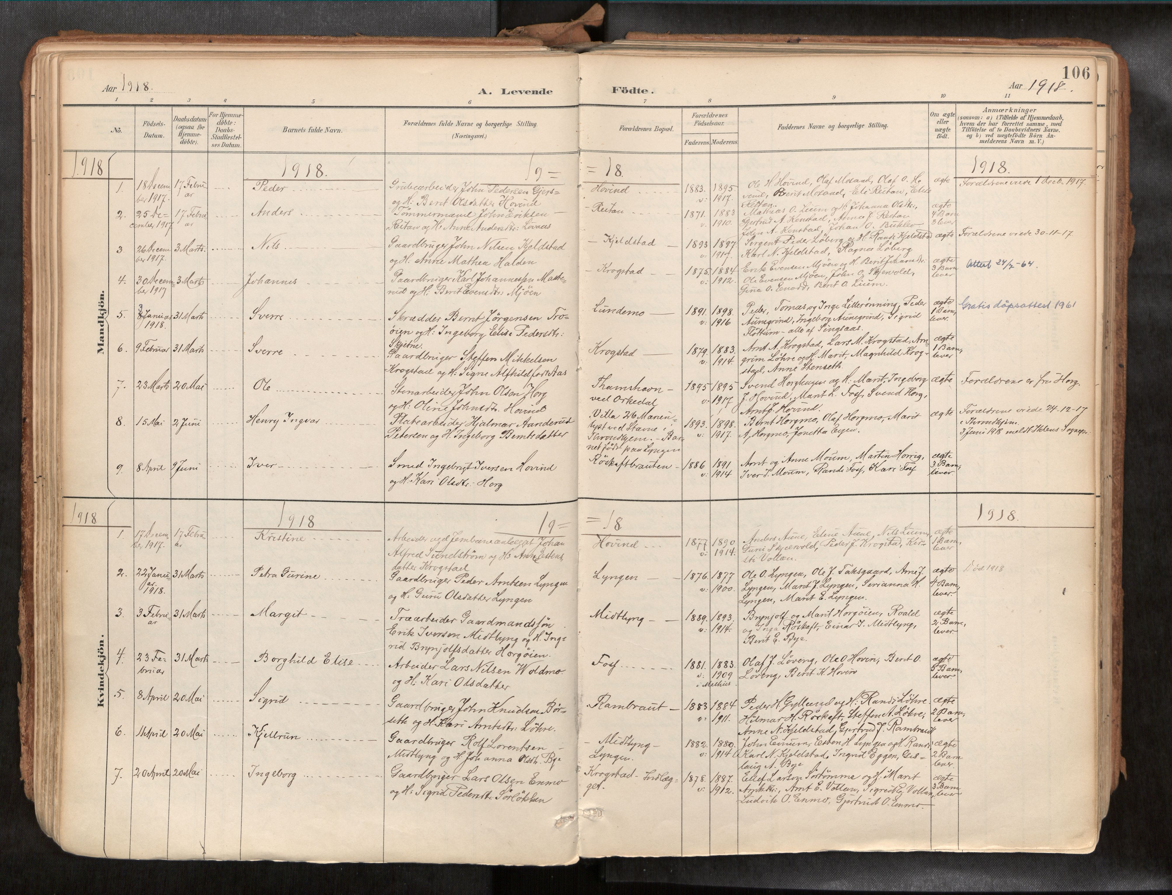 Ministerialprotokoller, klokkerbøker og fødselsregistre - Sør-Trøndelag, AV/SAT-A-1456/692/L1105b: Ministerialbok nr. 692A06, 1891-1934, s. 106
