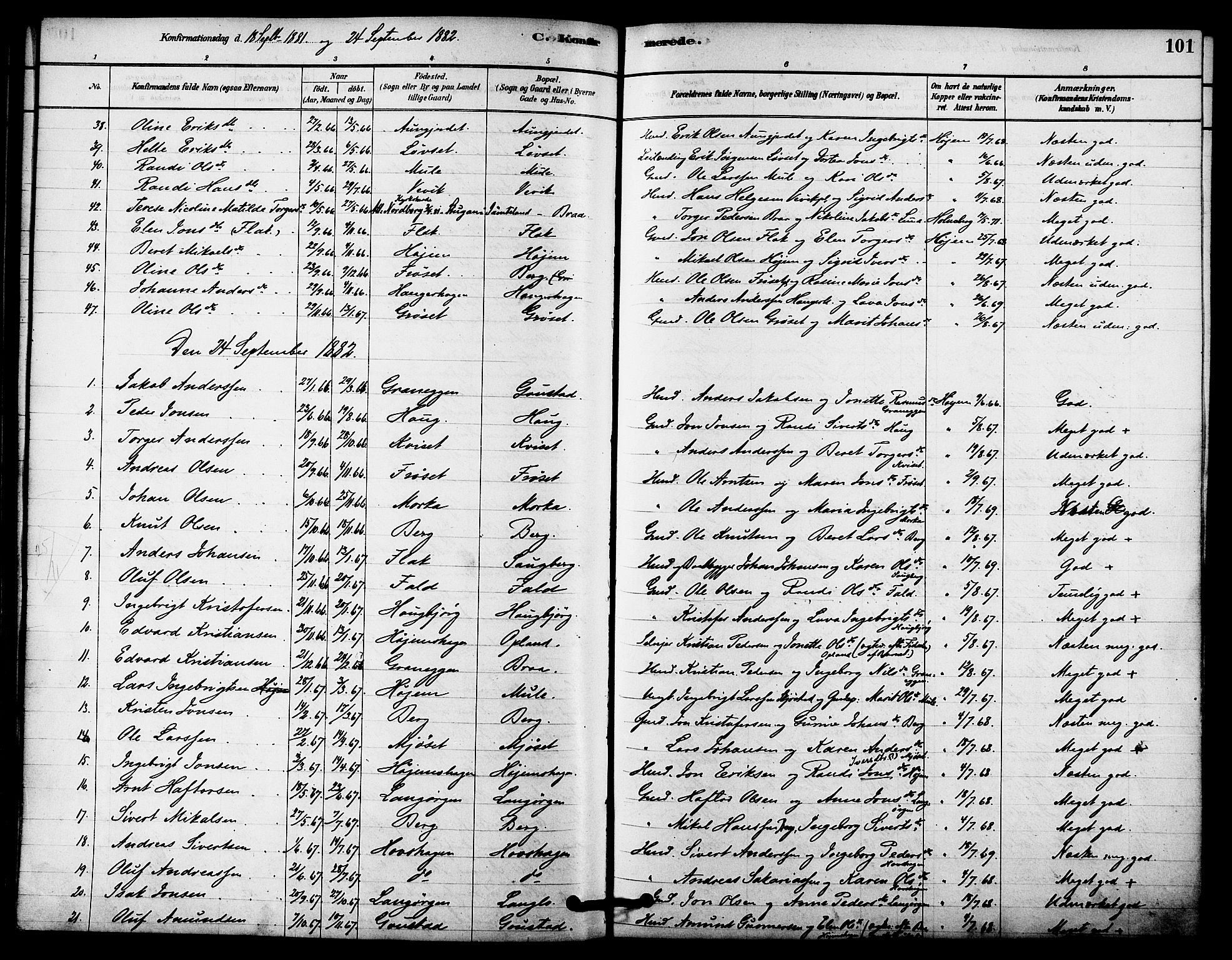 Ministerialprotokoller, klokkerbøker og fødselsregistre - Sør-Trøndelag, SAT/A-1456/612/L0378: Ministerialbok nr. 612A10, 1878-1897, s. 101