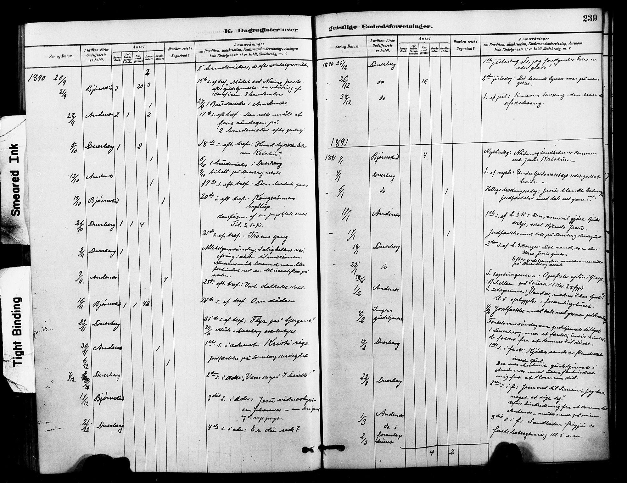 Ministerialprotokoller, klokkerbøker og fødselsregistre - Nordland, AV/SAT-A-1459/897/L1399: Ministerialbok nr. 897C06, 1881-1896, s. 239
