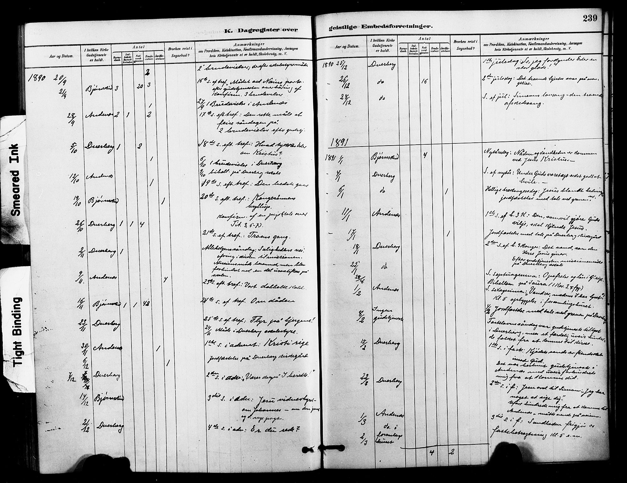 Ministerialprotokoller, klokkerbøker og fødselsregistre - Nordland, SAT/A-1459/897/L1399: Ministerialbok nr. 897C06, 1881-1896, s. 239