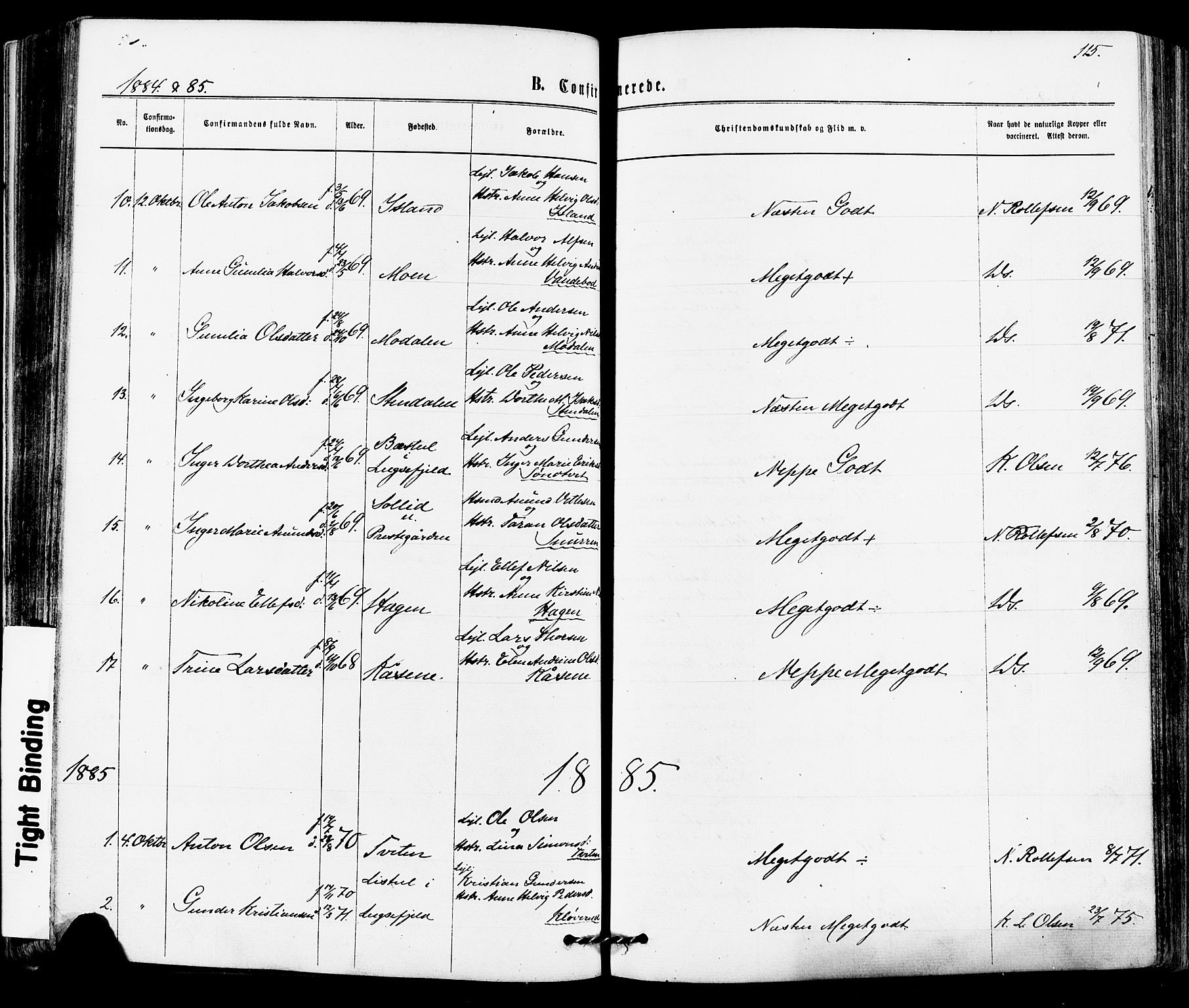 Siljan kirkebøker, SAKO/A-300/F/Fa/L0002: Ministerialbok nr. 2, 1870-1895, s. 115