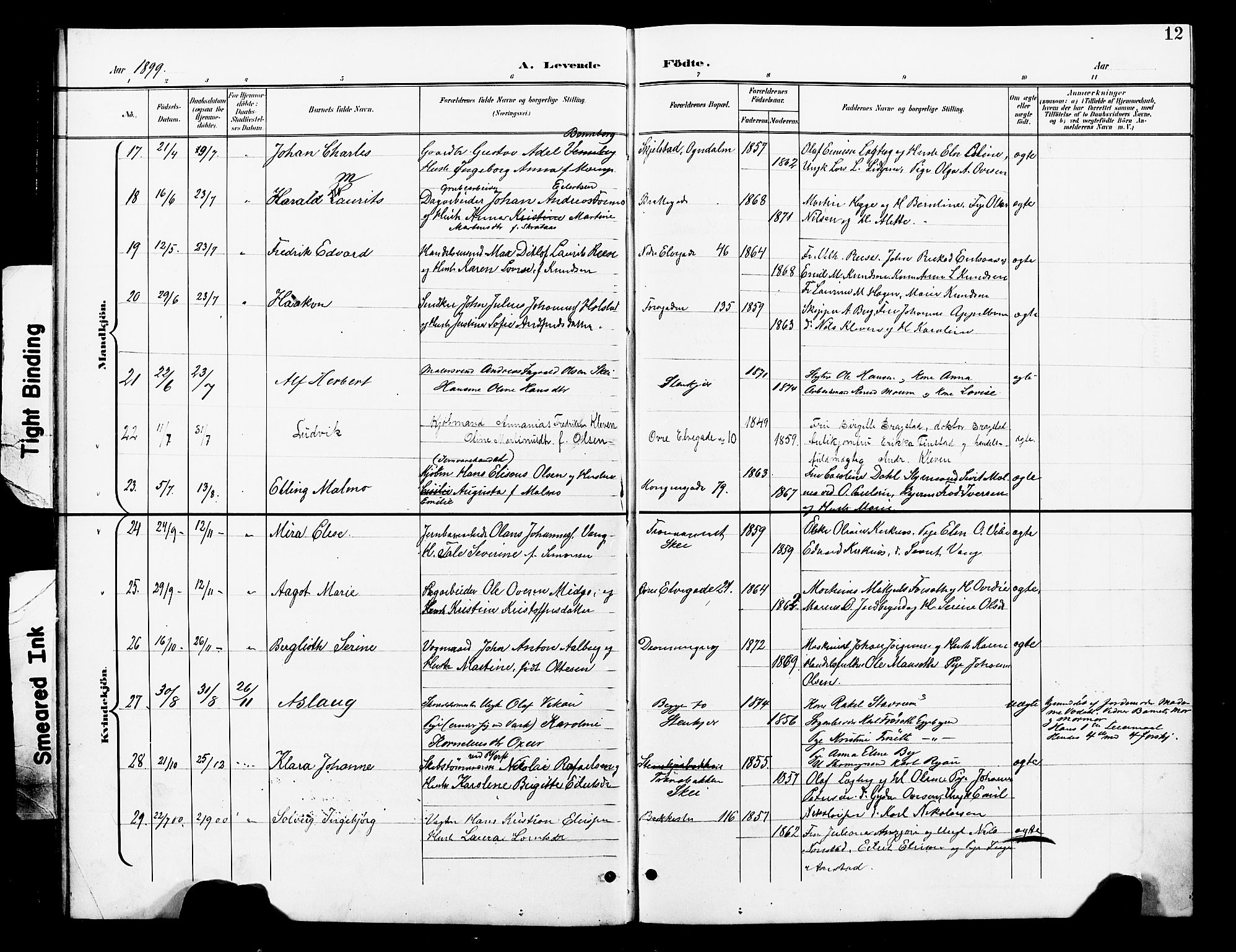 Ministerialprotokoller, klokkerbøker og fødselsregistre - Nord-Trøndelag, SAT/A-1458/739/L0375: Klokkerbok nr. 739C03, 1898-1908, s. 12