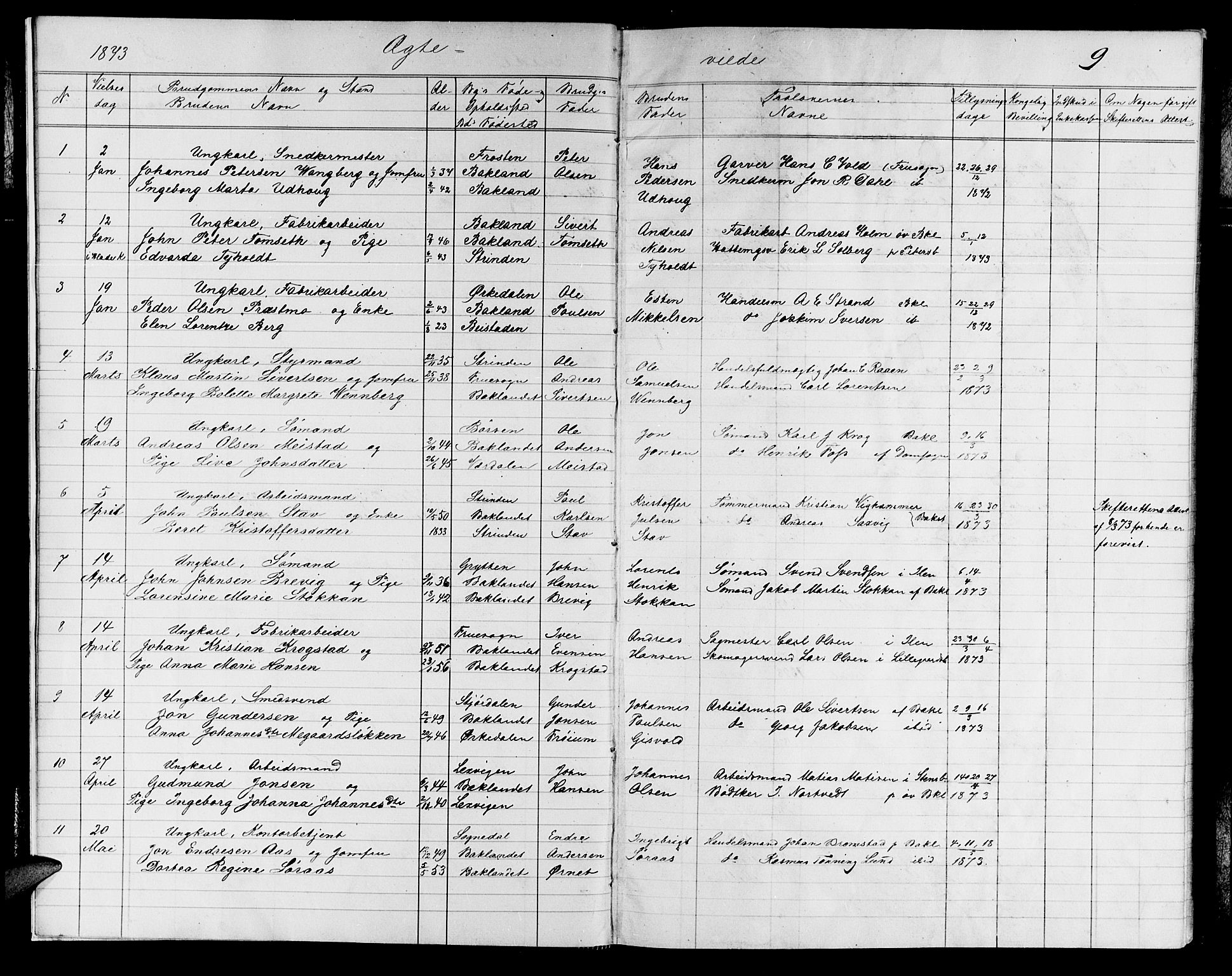 Ministerialprotokoller, klokkerbøker og fødselsregistre - Sør-Trøndelag, SAT/A-1456/604/L0221: Klokkerbok nr. 604C04, 1870-1885, s. 9