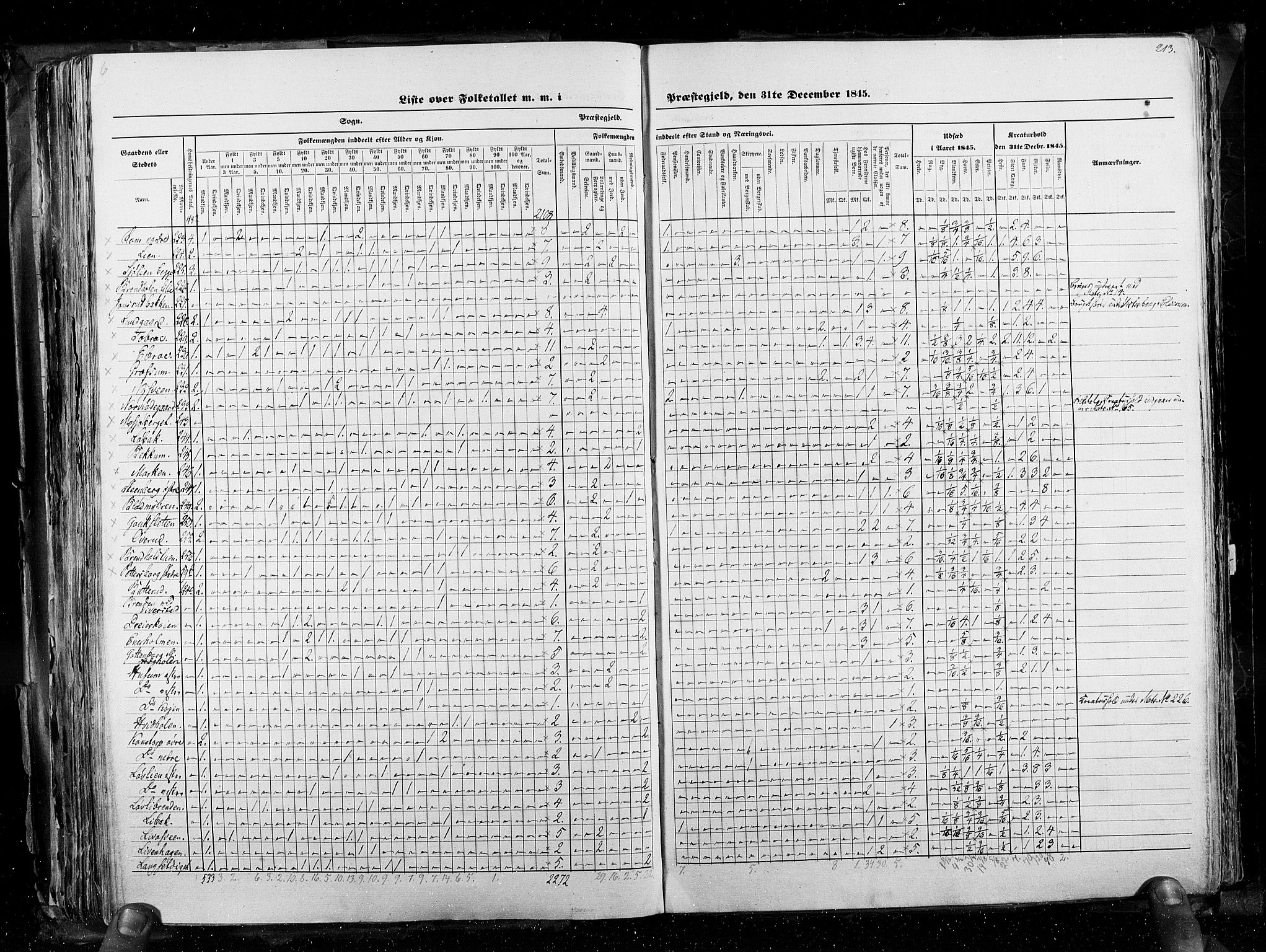 RA, Folketellingen 1845, bind 3: Hedemarken amt og Kristians amt, 1845, s. 213