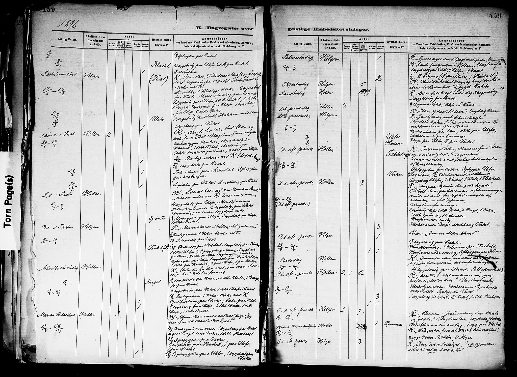 Holla kirkebøker, AV/SAKO-A-272/F/Fa/L0008: Ministerialbok nr. 8, 1882-1897, s. 459