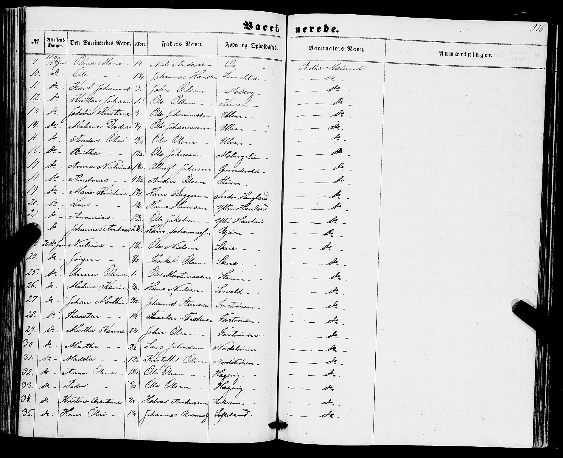 Os sokneprestembete, AV/SAB-A-99929: Ministerialbok nr. A 17, 1860-1873, s. 316
