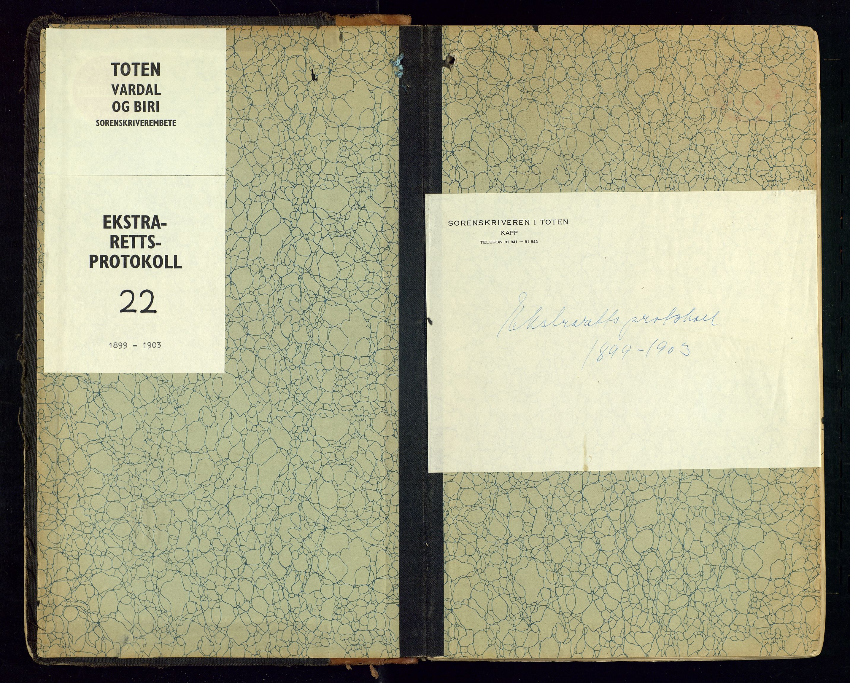 Toten tingrett, SAH/TING-006/G/Gc/Gca/L0022: Ekstrarettsprotokoll, 1899-1903