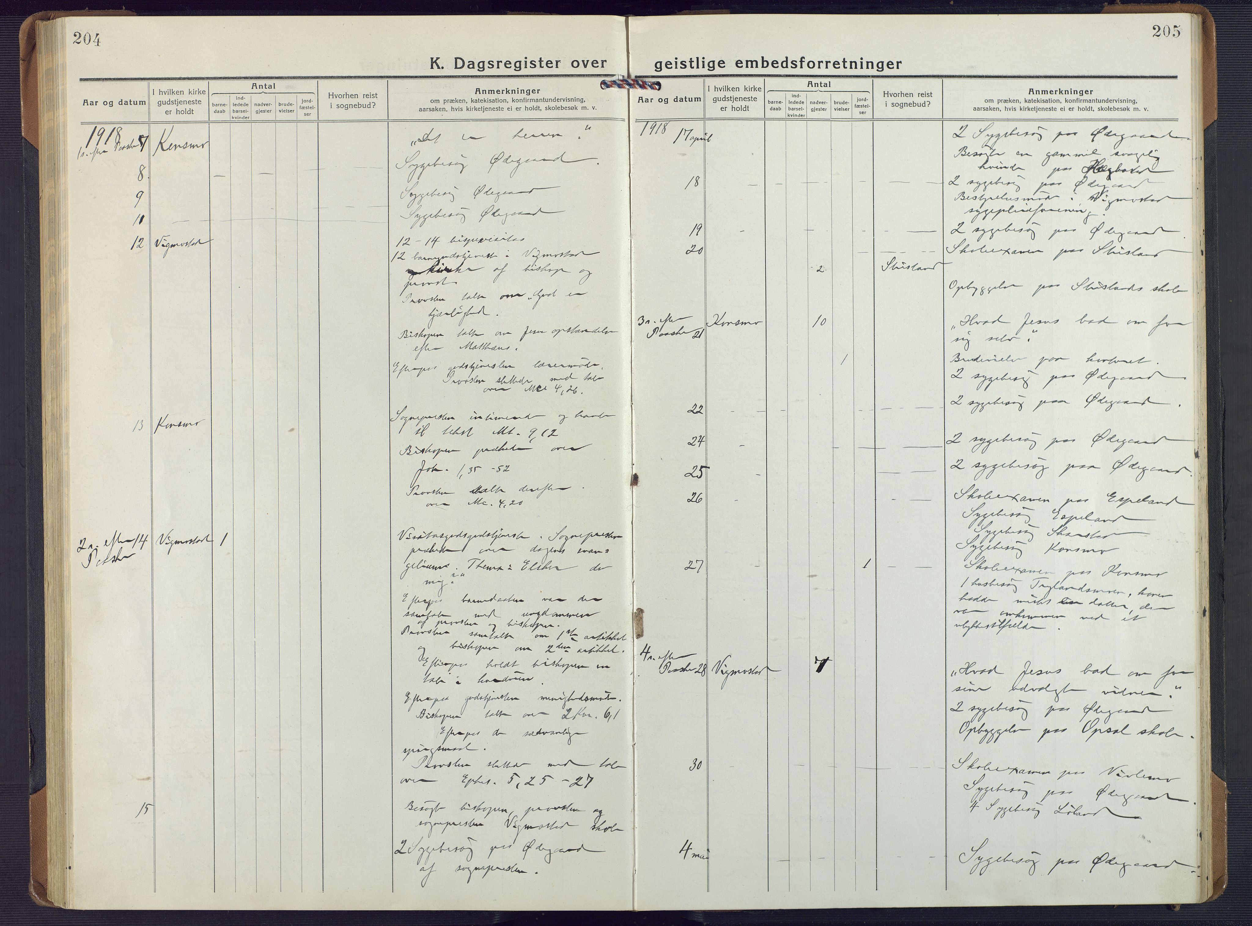 Nord-Audnedal sokneprestkontor, AV/SAK-1111-0032/F/Fa/Fab/L0005: Ministerialbok nr. A 5, 1918-1925, s. 204-205