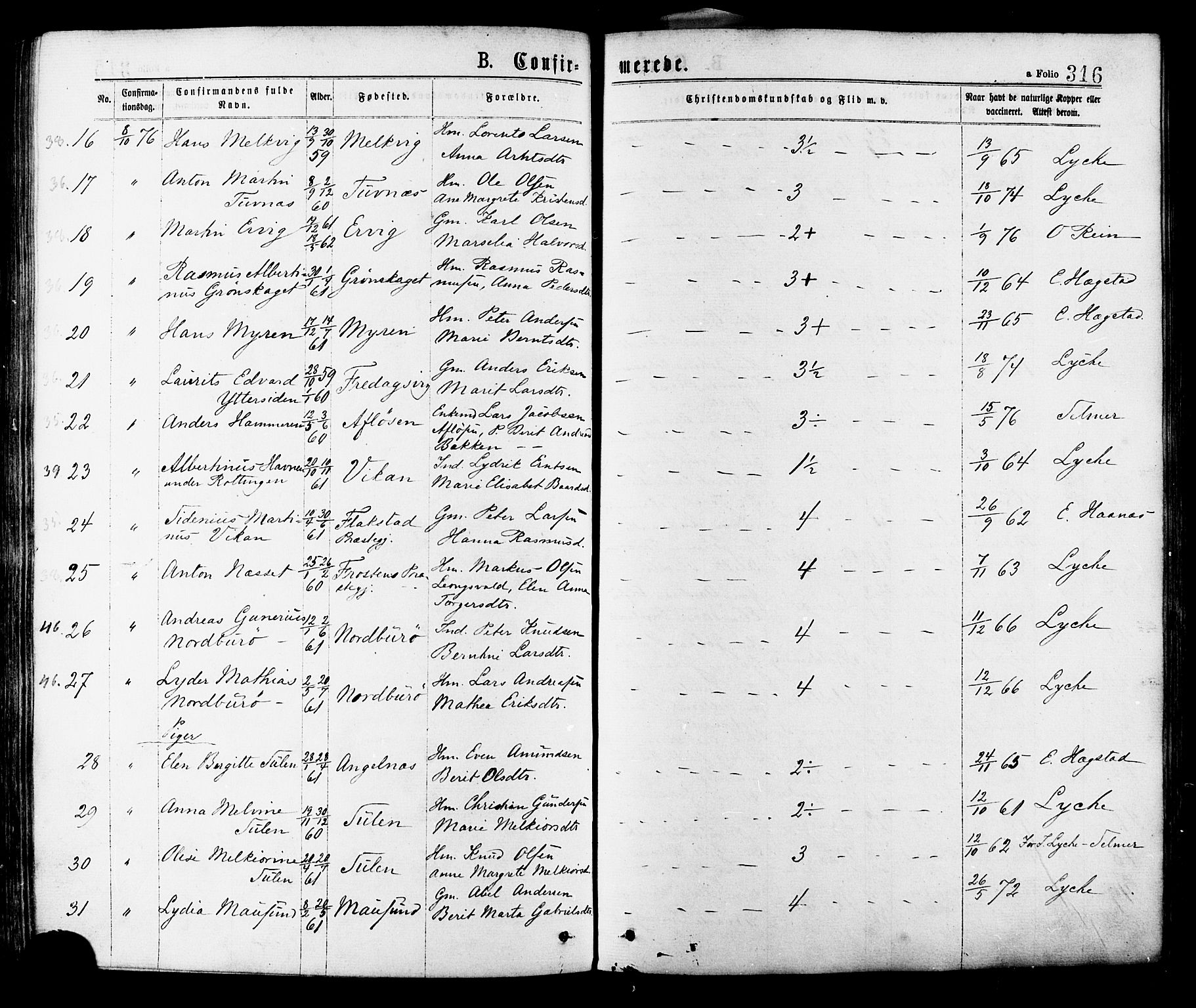 Ministerialprotokoller, klokkerbøker og fødselsregistre - Sør-Trøndelag, AV/SAT-A-1456/634/L0532: Ministerialbok nr. 634A08, 1871-1881, s. 316