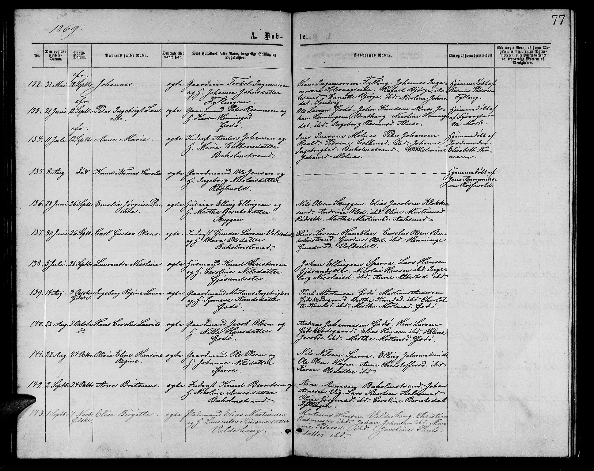 Ministerialprotokoller, klokkerbøker og fødselsregistre - Møre og Romsdal, AV/SAT-A-1454/528/L0428: Klokkerbok nr. 528C09, 1864-1880, s. 77