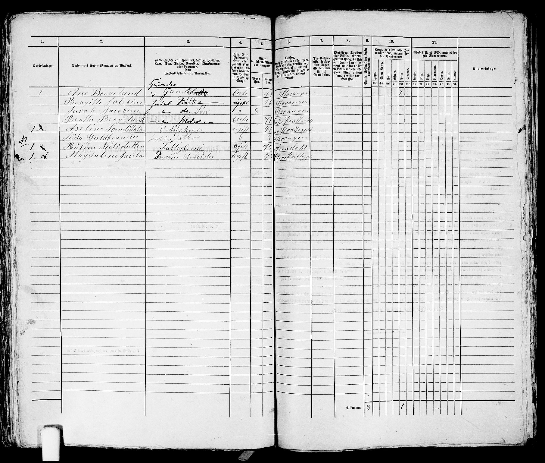 RA, Folketelling 1865 for 1103 Stavanger kjøpstad, 1865, s. 1895