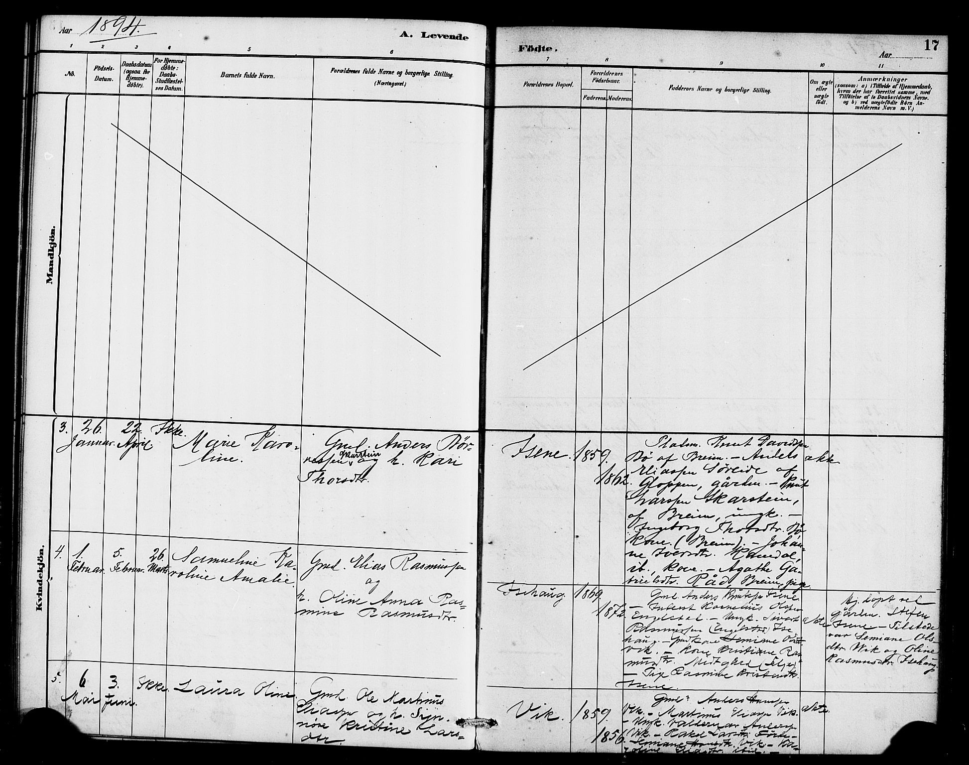 Davik sokneprestembete, AV/SAB-A-79701/H/Haa/Haae/L0001: Ministerialbok nr. E 1, 1882-1900, s. 17