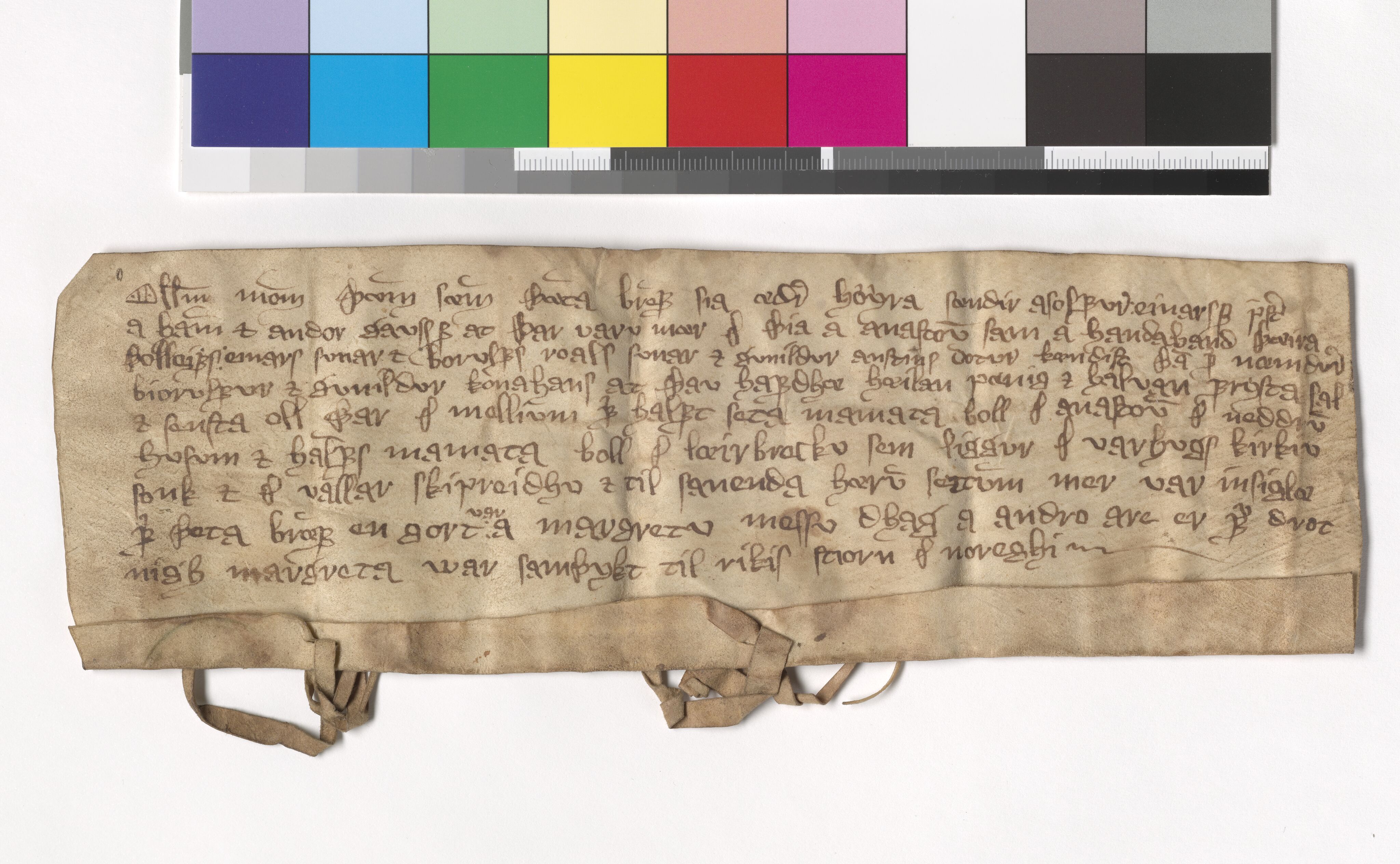 Riksarkivets diplomsamling, AV/RA-EA-5965/F05/L0116: NRA AM fasc. 37 nr. 14 - fasc. 38 nr. 2, 1384-1392, s. 8