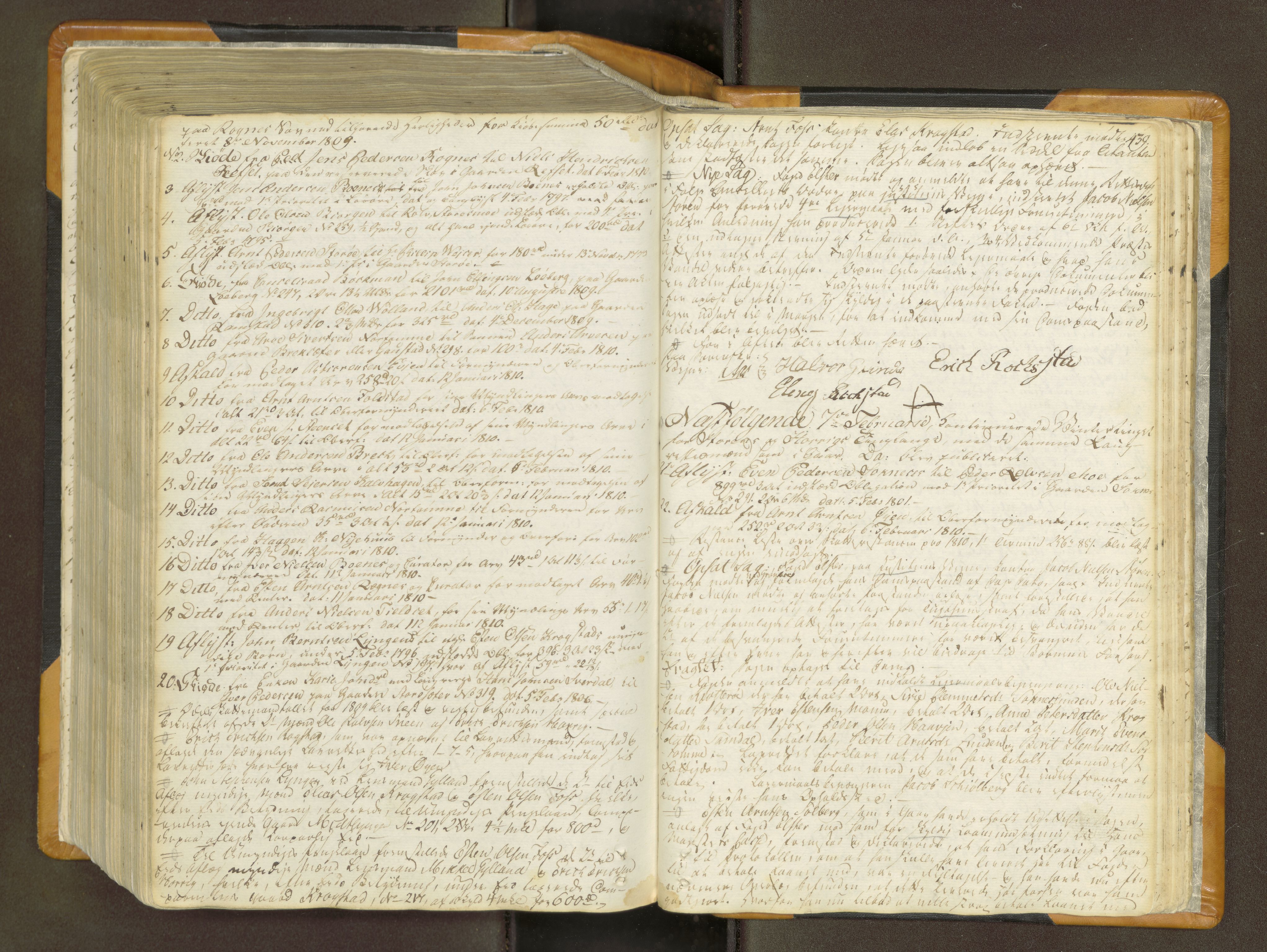 Gauldal sorenskriveri, AV/SAT-A-0014/1/1/1A/L0011: Tingbok 10, 1803-1810, s. 438b-439a
