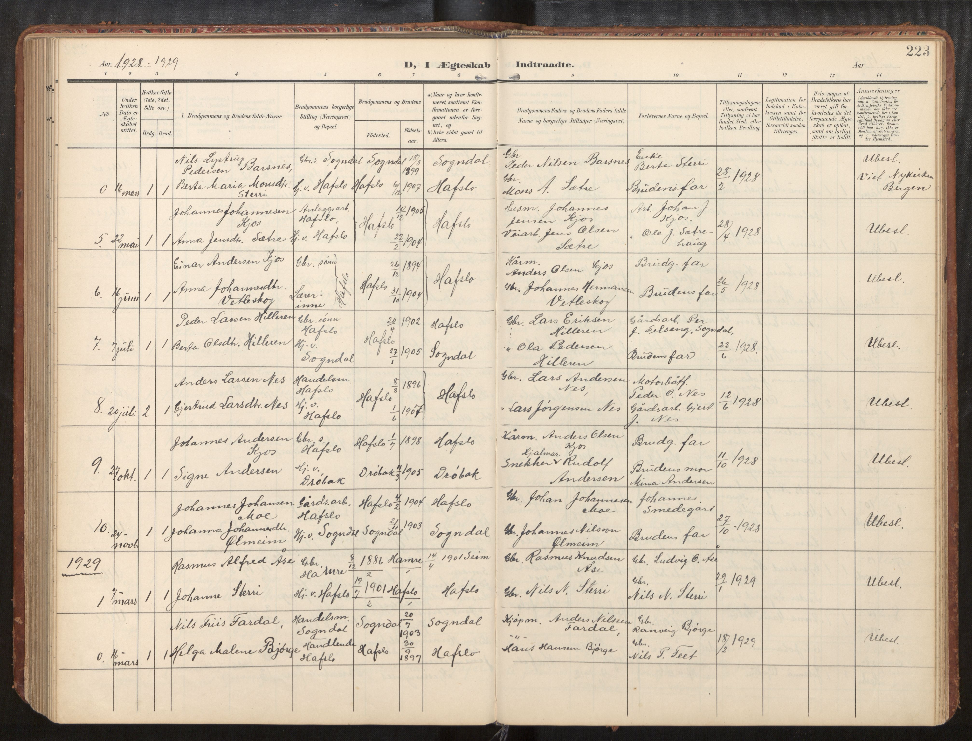 Hafslo sokneprestembete, AV/SAB-A-80301/H/Hab/Habb/L0002: Klokkerbok nr. B 2, 1909-1947, s. 223