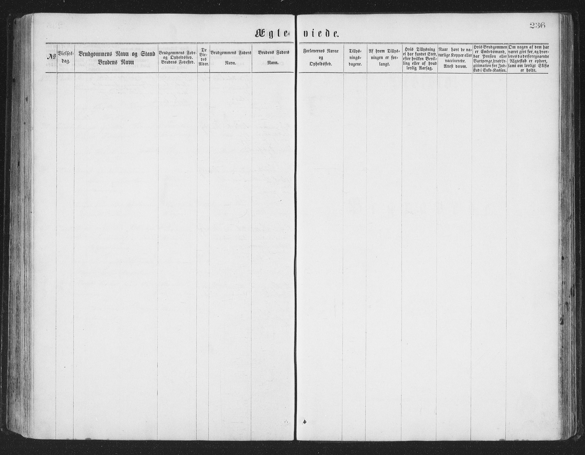 Ministerialprotokoller, klokkerbøker og fødselsregistre - Nordland, AV/SAT-A-1459/874/L1057: Ministerialbok nr. 874A01, 1866-1877, s. 236