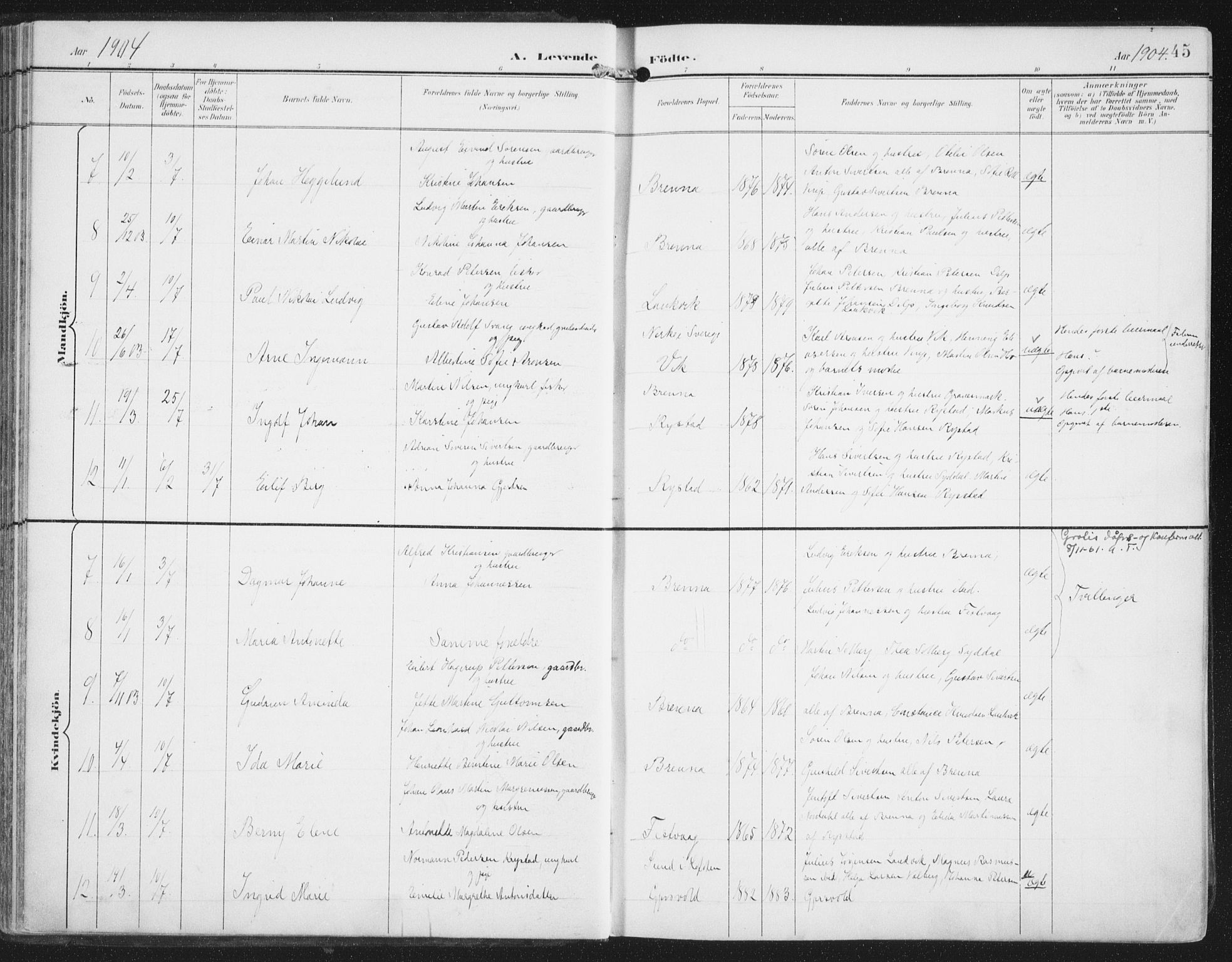 Ministerialprotokoller, klokkerbøker og fødselsregistre - Nordland, SAT/A-1459/876/L1098: Ministerialbok nr. 876A04, 1896-1915, s. 45