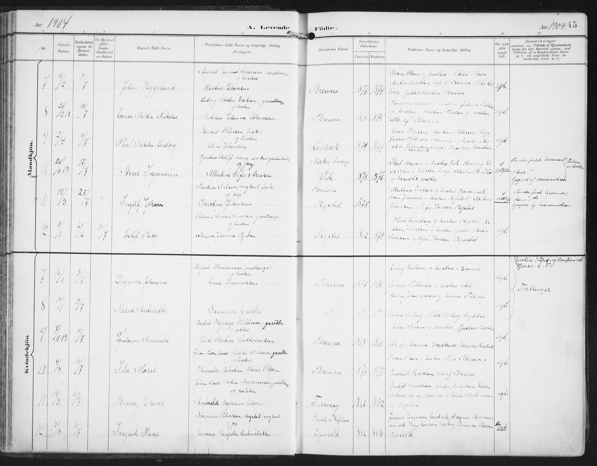 Ministerialprotokoller, klokkerbøker og fødselsregistre - Nordland, AV/SAT-A-1459/876/L1098: Ministerialbok nr. 876A04, 1896-1915, s. 45