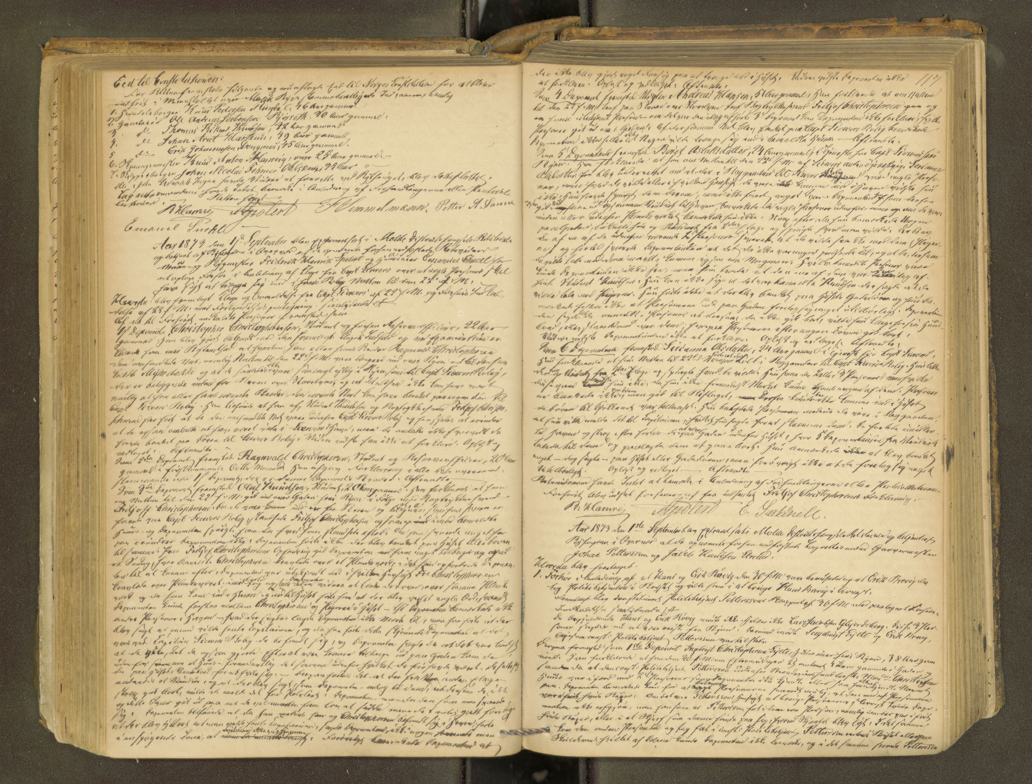 Molde byfogd, AV/SAT-A-0025/1/1A/L0011: Justisprotokoll, 1869-1880, s. 116b-117a