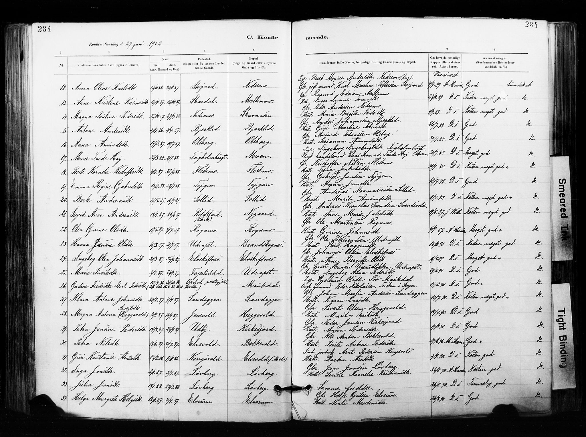 Målselv sokneprestembete, AV/SATØ-S-1311/G/Ga/Gaa/L0007kirke: Ministerialbok nr. 7, 1884-1903, s. 234