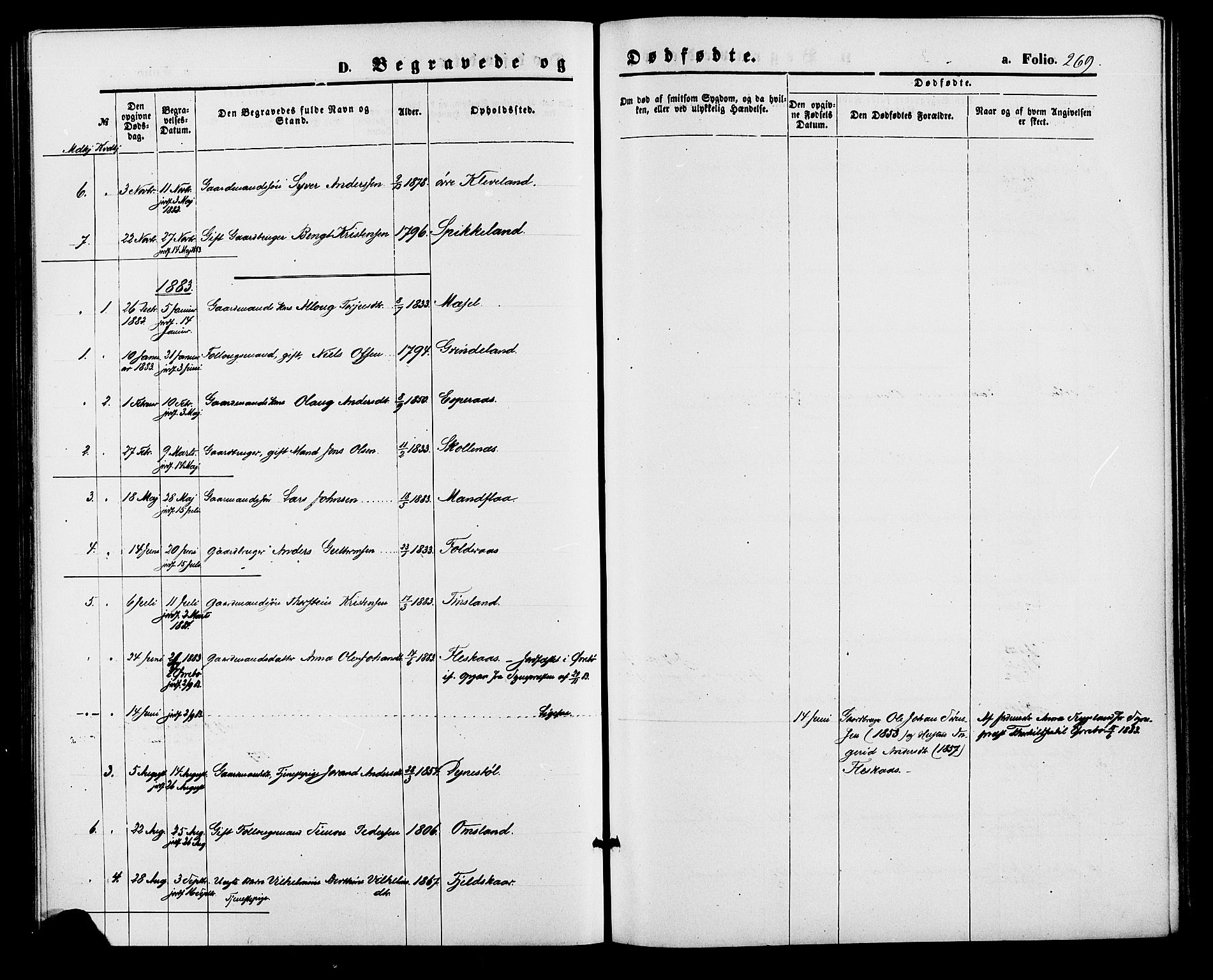 Bjelland sokneprestkontor, SAK/1111-0005/F/Fa/Fab/L0003: Ministerialbok nr. A 3, 1870-1887, s. 269