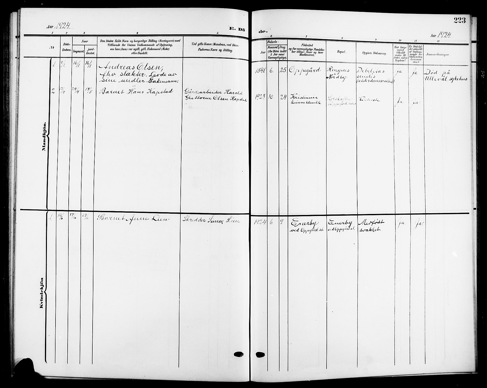 Nesodden prestekontor Kirkebøker, AV/SAO-A-10013/G/Gb/L0001: Klokkerbok nr. II 1, 1905-1924, s. 223