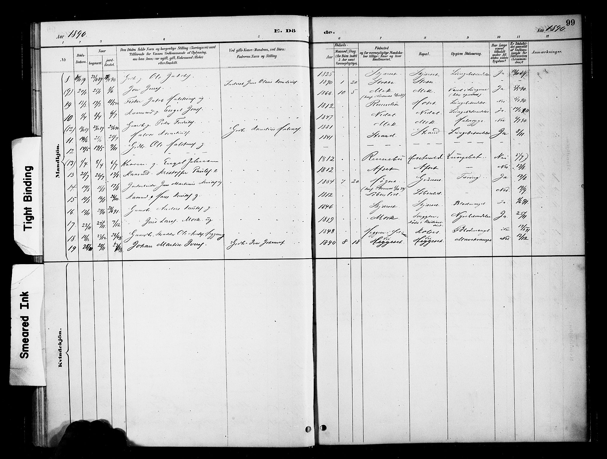 Ministerialprotokoller, klokkerbøker og fødselsregistre - Møre og Romsdal, SAT/A-1454/568/L0809: Ministerialbok nr. 568A13, 1884-1900, s. 99