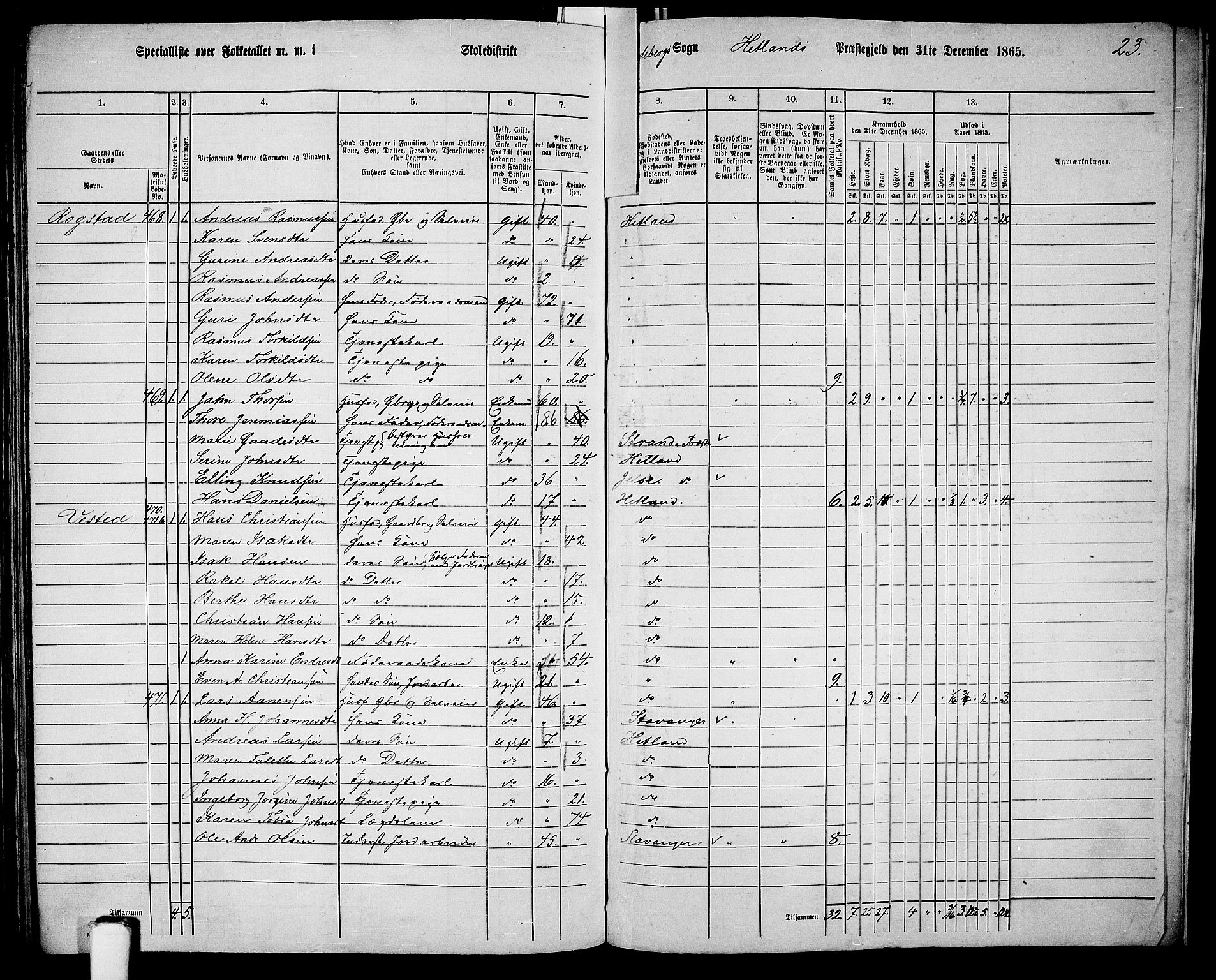 RA, Folketelling 1865 for 1126P Hetland prestegjeld, 1865, s. 208