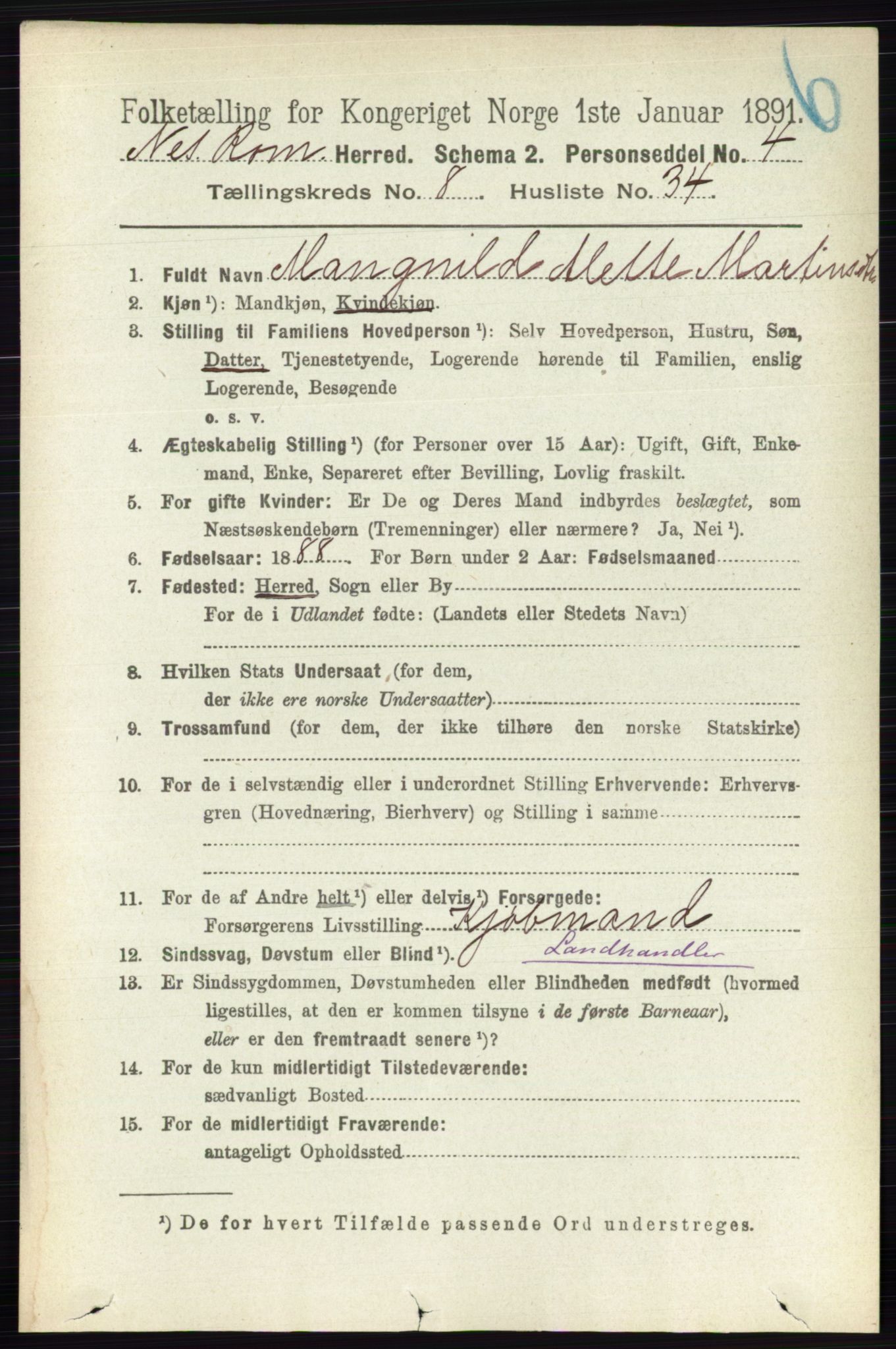RA, Folketelling 1891 for 0236 Nes herred, 1891, s. 4816