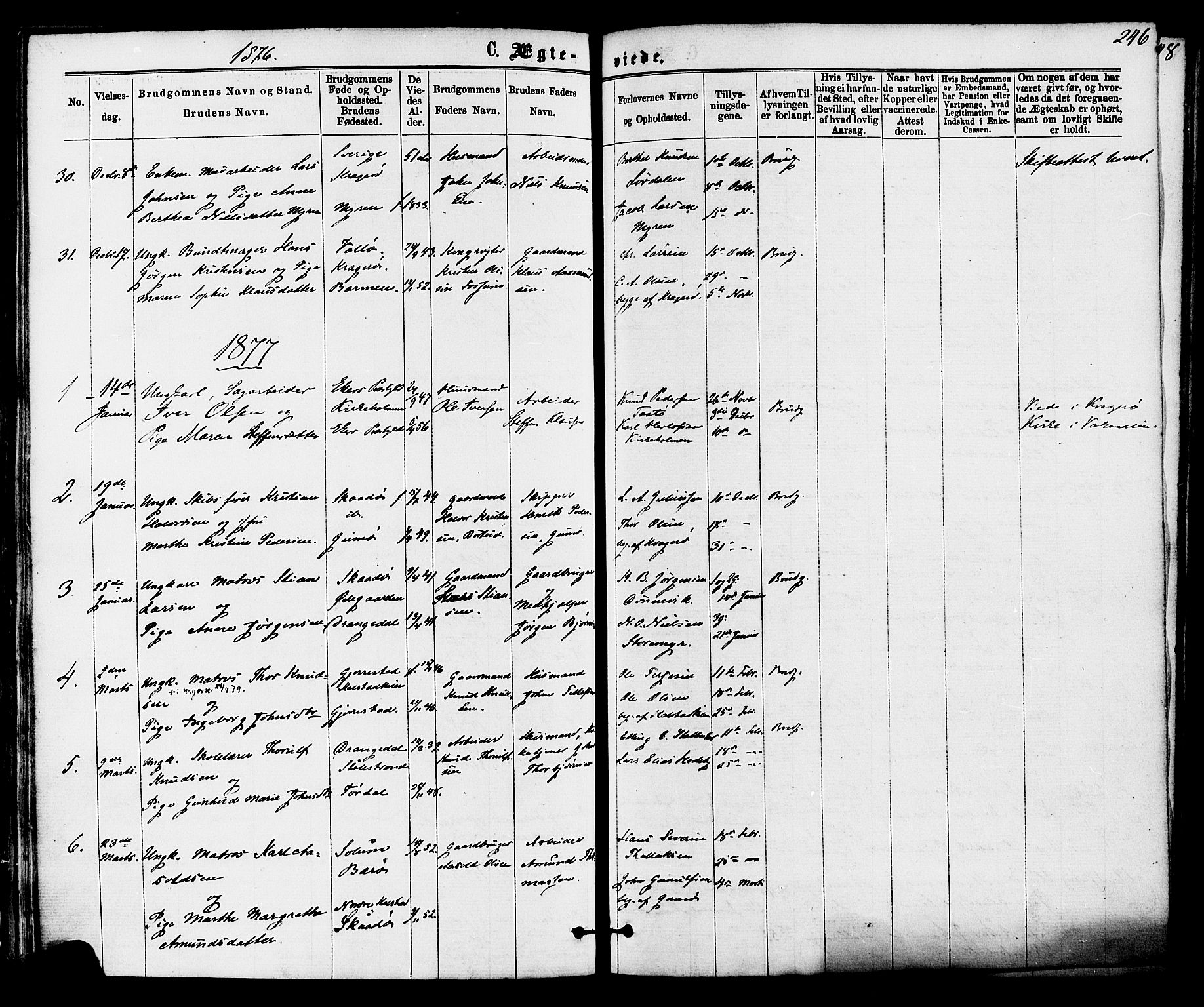 Skåtøy kirkebøker, AV/SAKO-A-304/F/Fa/L0001: Ministerialbok nr. I 1, 1874-1883, s. 246