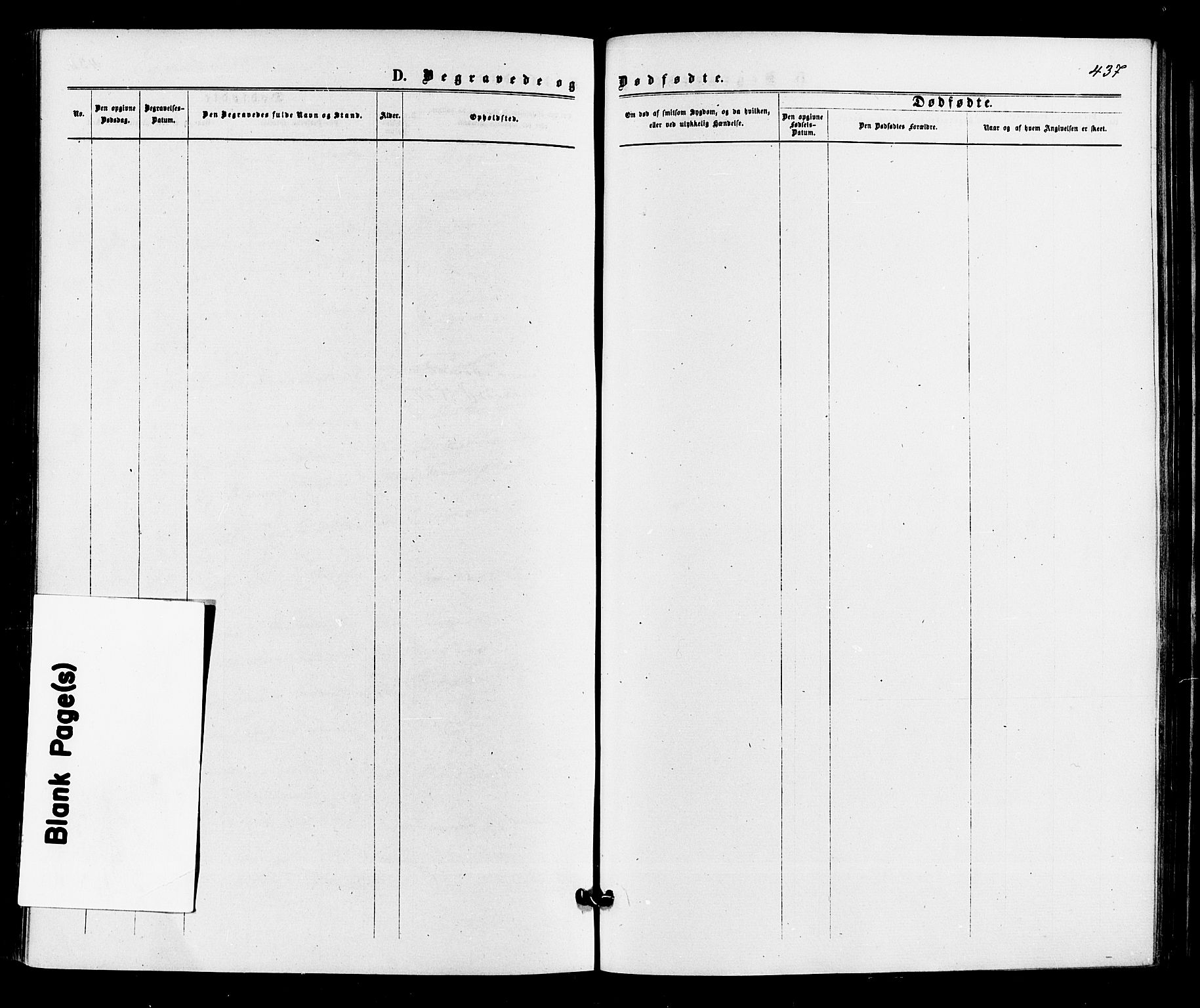 Sigdal kirkebøker, SAKO/A-245/F/Fa/L0010: Ministerialbok nr. I 10 /3, 1872-1878, s. 437