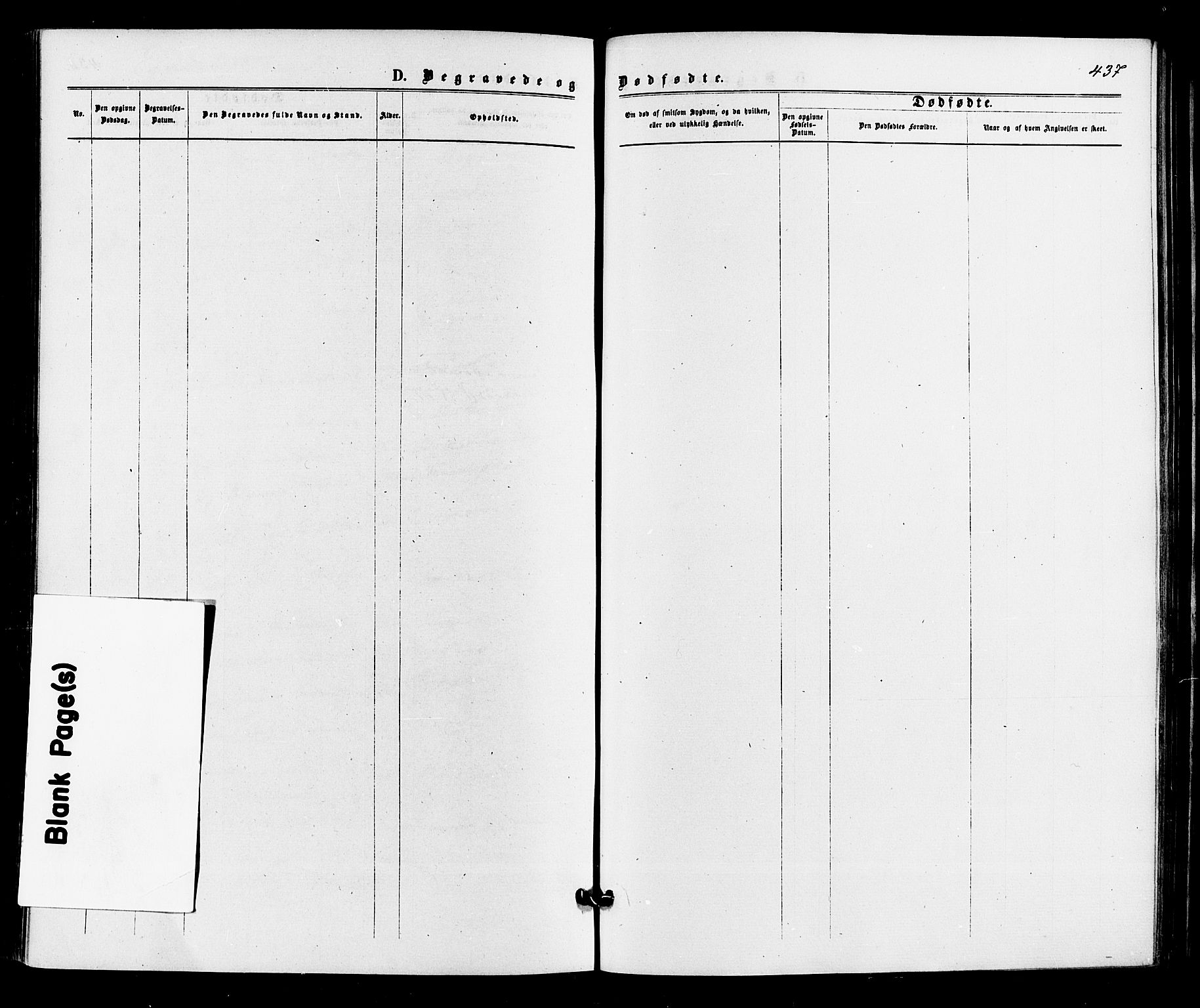 Sigdal kirkebøker, AV/SAKO-A-245/F/Fa/L0010: Ministerialbok nr. I 10 /3, 1872-1878, s. 437
