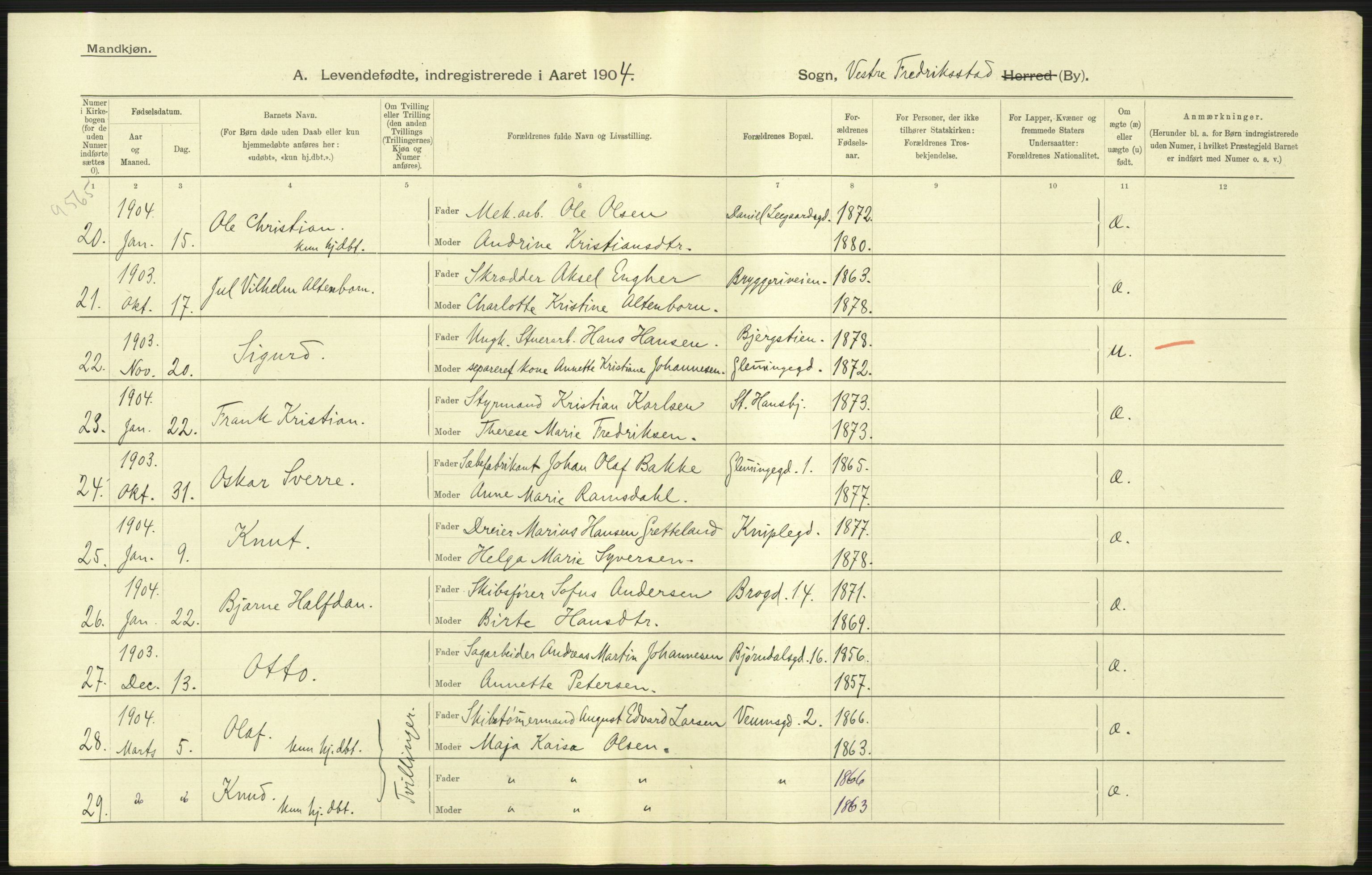 Statistisk sentralbyrå, Sosiodemografiske emner, Befolkning, AV/RA-S-2228/D/Df/Dfa/Dfab/L0001: Smålenenes amt: Fødte, gifte, døde, 1904, s. 175