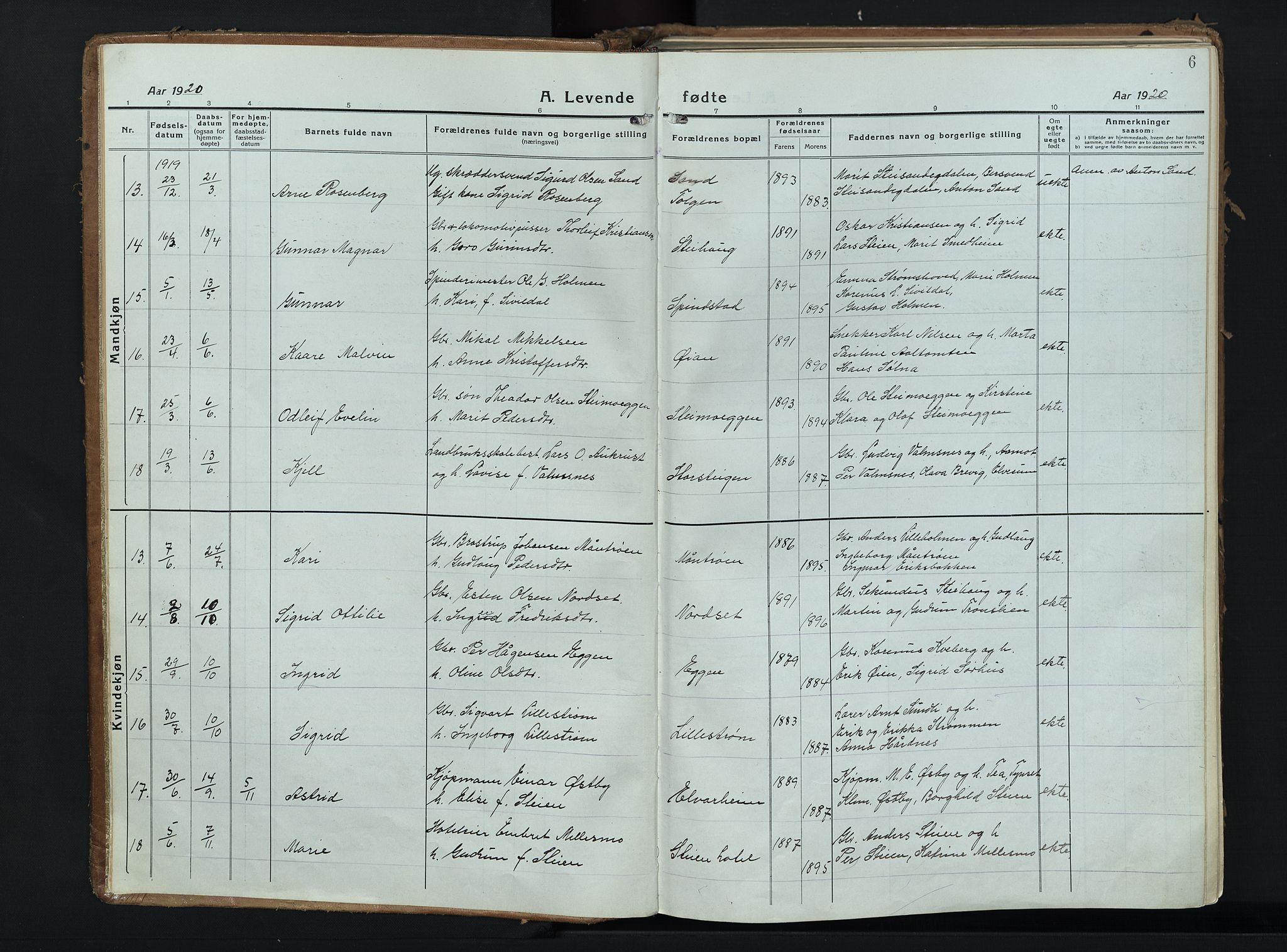 Alvdal prestekontor, AV/SAH-PREST-060/H/Ha/Haa/L0006: Ministerialbok nr. 6, 1920-1937, s. 6