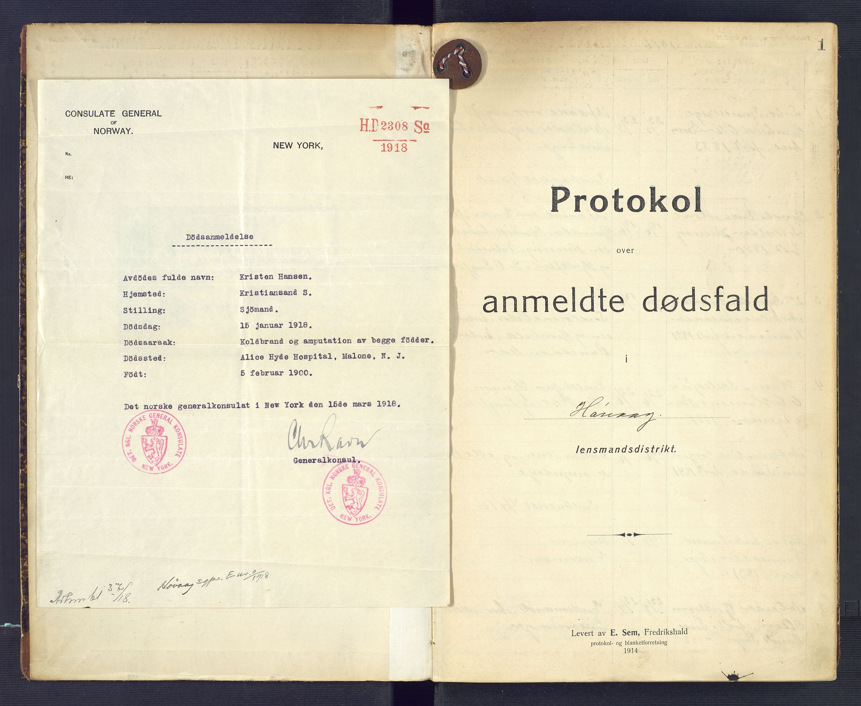 Høvåg lensmannskontor, SAK/1241-0024/F/Fe/L0041: Protokoll over anmeldte dødsfall, 1916-1933, s. 1