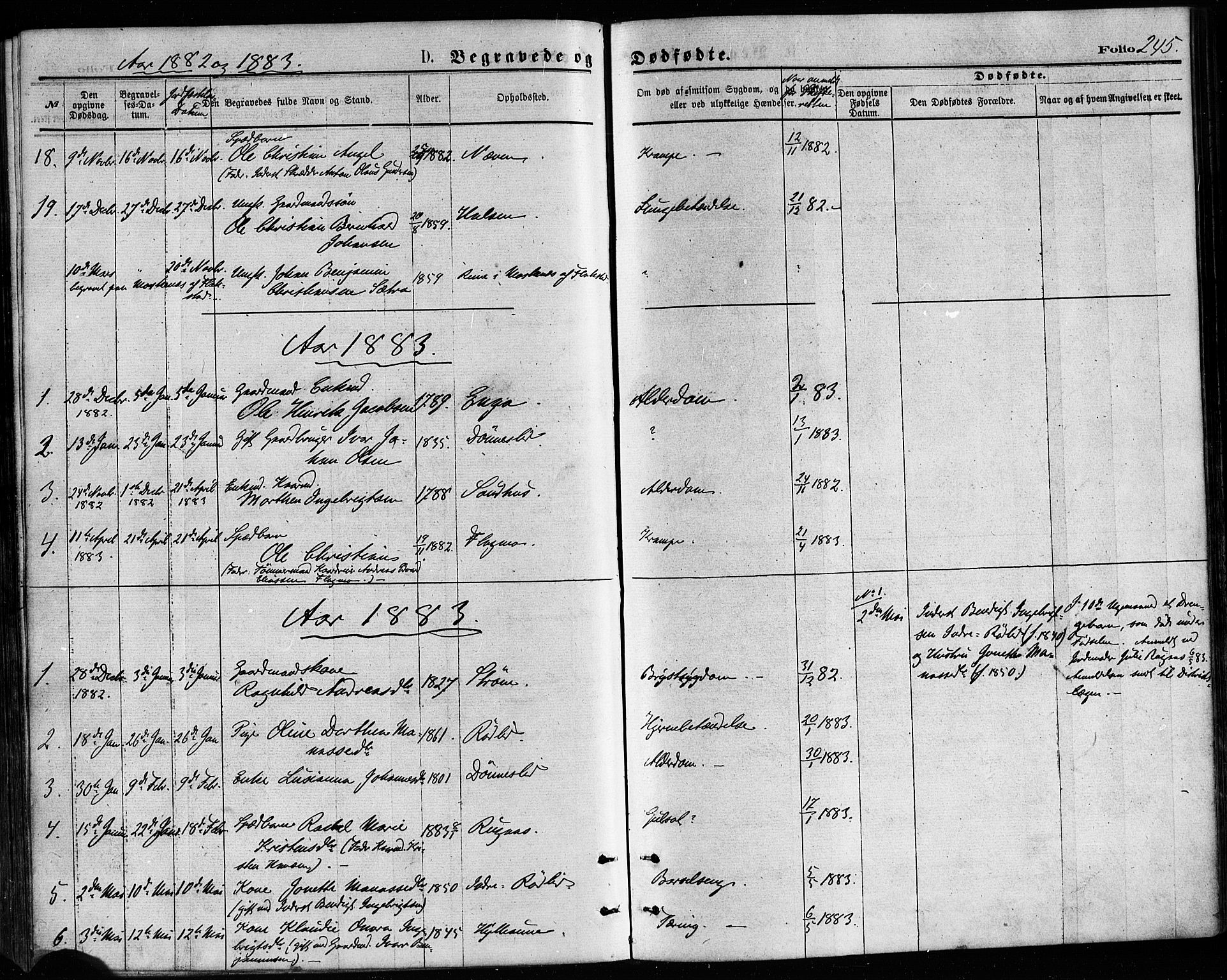 Ministerialprotokoller, klokkerbøker og fødselsregistre - Nordland, SAT/A-1459/814/L0225: Ministerialbok nr. 814A06, 1875-1885, s. 245