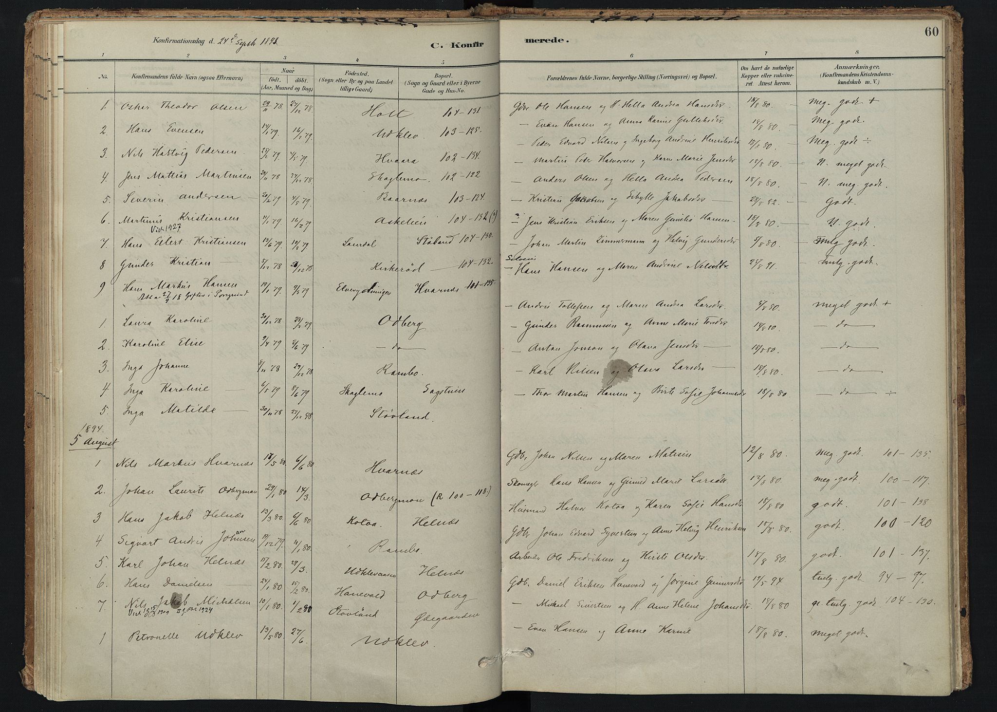 Hedrum kirkebøker, AV/SAKO-A-344/F/Fc/L0001: Ministerialbok nr. III 1, 1881-1906, s. 60