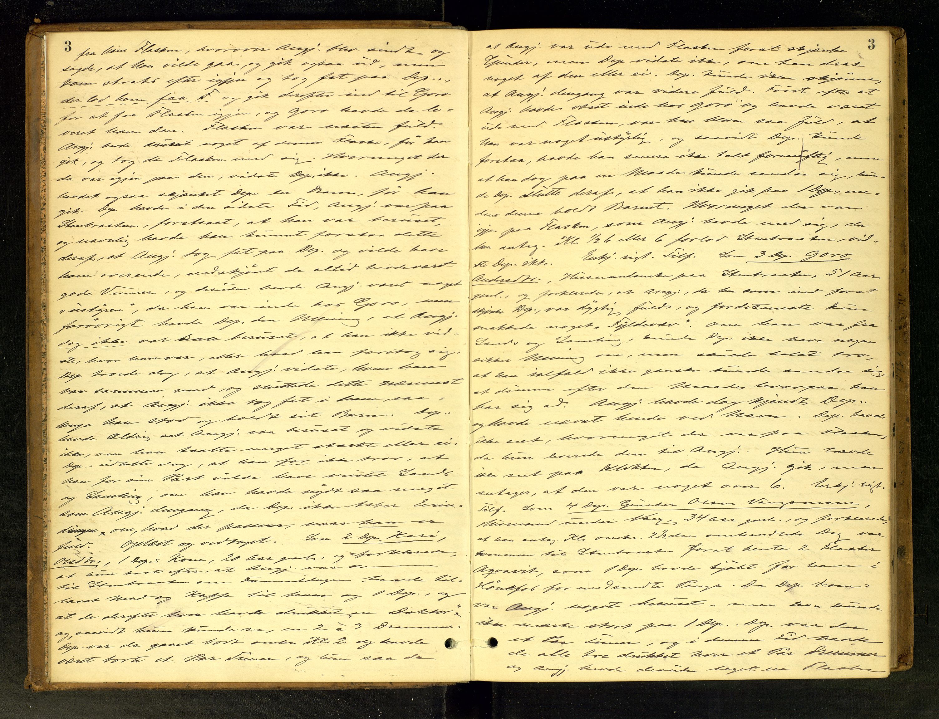 Hadeland og Land tingrett, AV/SAH-TING-010/G/Gc/L0022: Ekstrarettsprotokoll, 1885-1886, s. 3