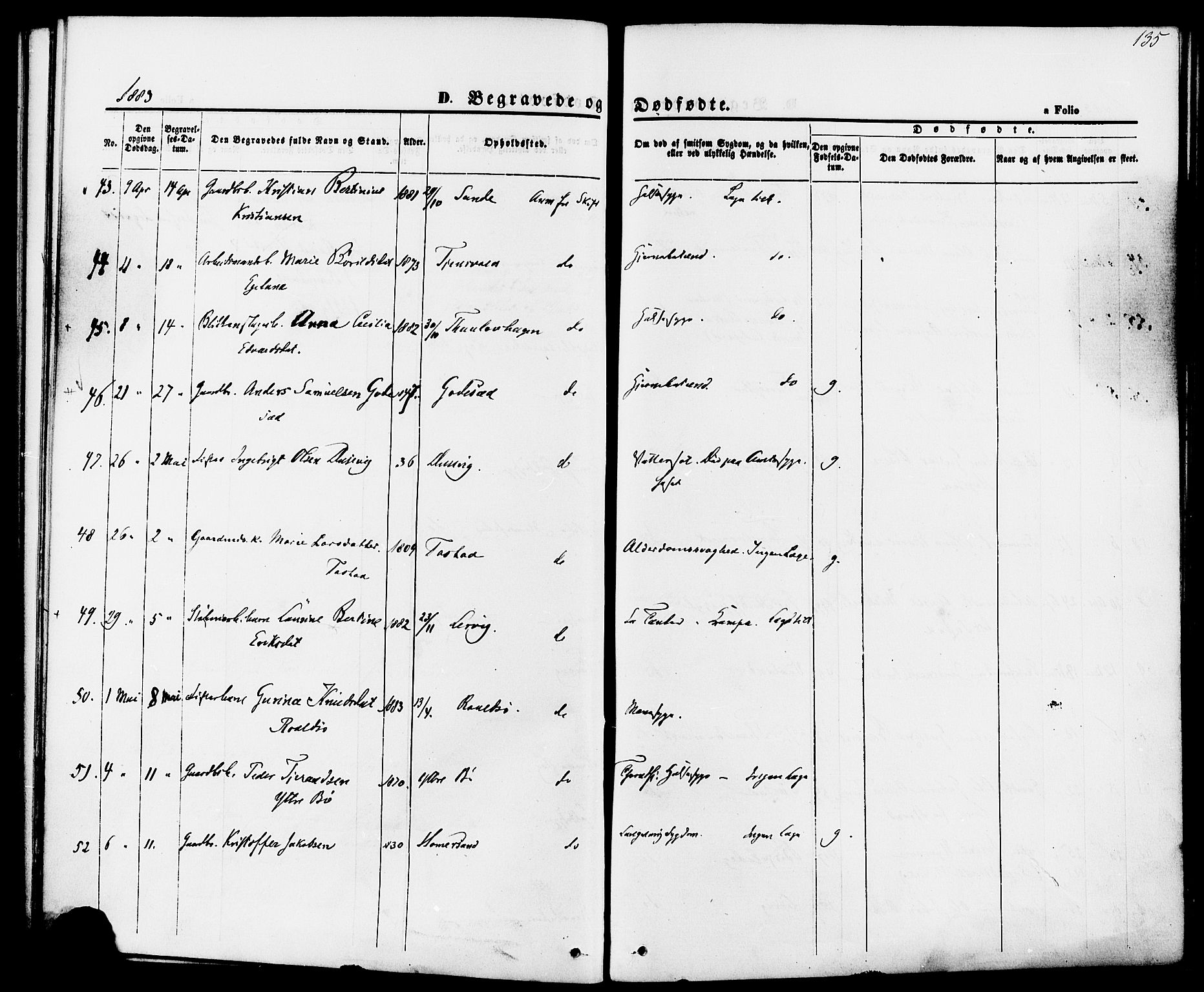 Hetland sokneprestkontor, AV/SAST-A-101826/30/30BA/L0006: Ministerialbok nr. A 6, 1869-1884, s. 135