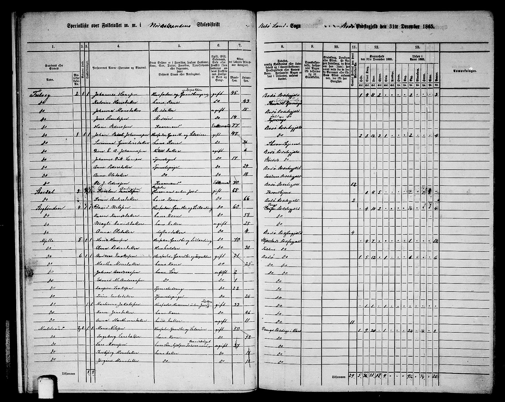 RA, Folketelling 1865 for 1843L Bodø prestegjeld, Bodø landsokn, 1865, s. 12