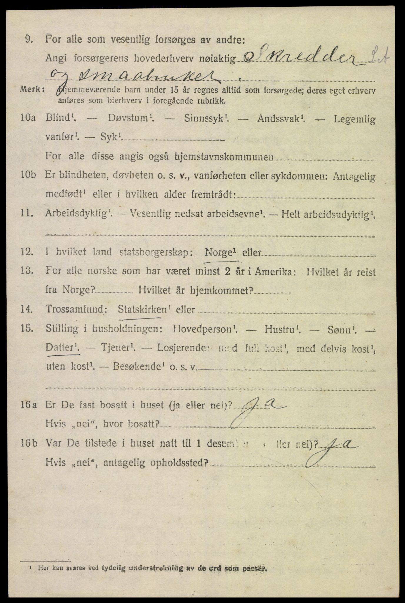 SAK, Folketelling 1920 for 0936 Hornnes herred, 1920, s. 2490