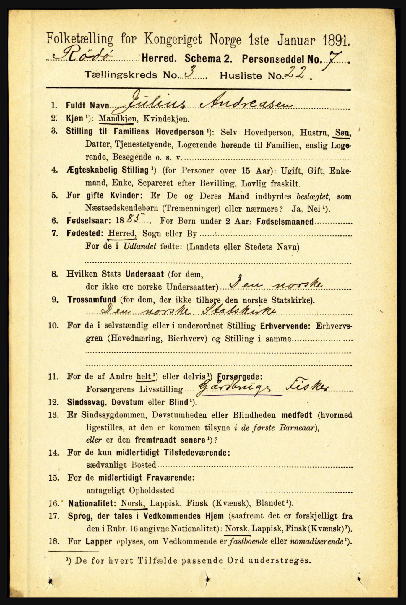 RA, Folketelling 1891 for 1836 Rødøy herred, 1891, s. 993