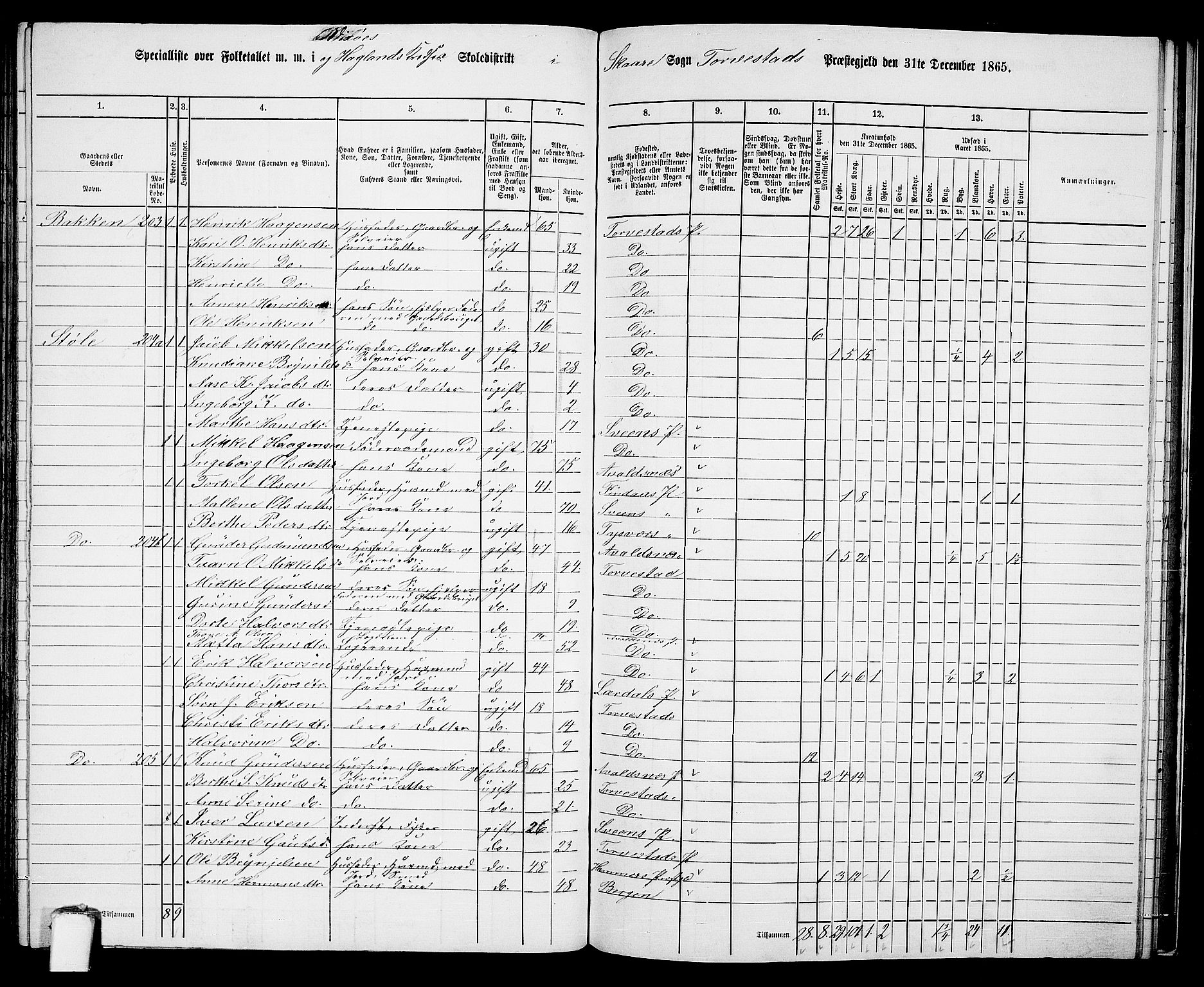 RA, Folketelling 1865 for 1152L Torvastad prestegjeld, Torvastad sokn, Skåre sokn og Utsira sokn, 1865, s. 128