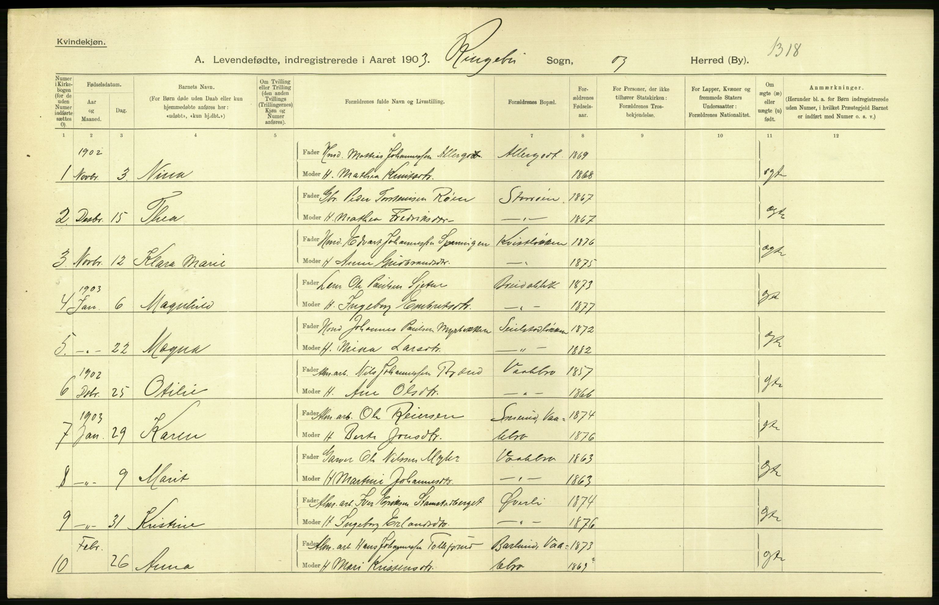 Statistisk sentralbyrå, Sosiodemografiske emner, Befolkning, AV/RA-S-2228/D/Df/Dfa/Dfaa/L0006: Kristians amt: Fødte, gifte, døde, 1903, s. 70