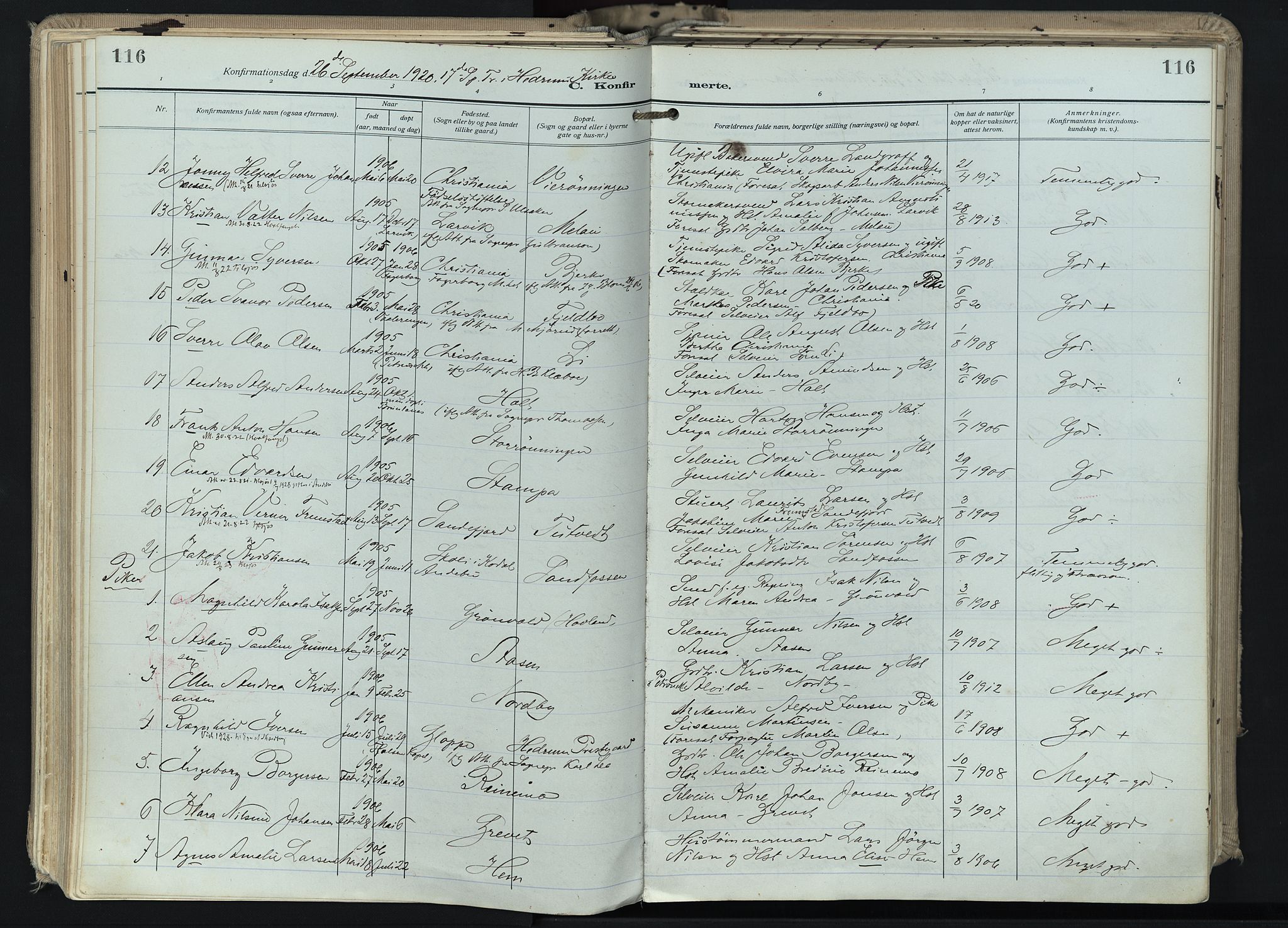 Hedrum kirkebøker, AV/SAKO-A-344/F/Fa/L0011: Ministerialbok nr. I 11, 1919-1933, s. 116